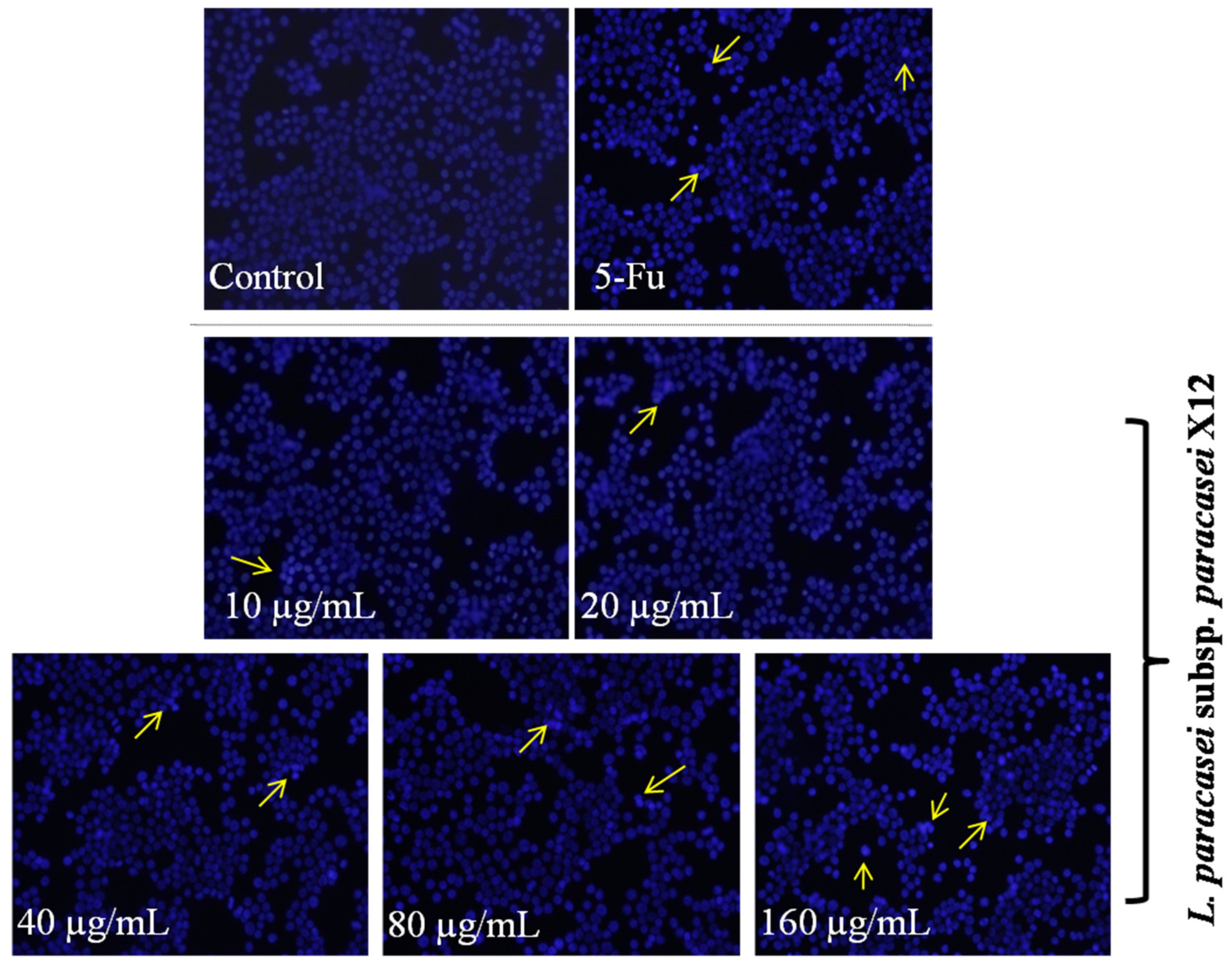Nutrients 15 02123 g003
