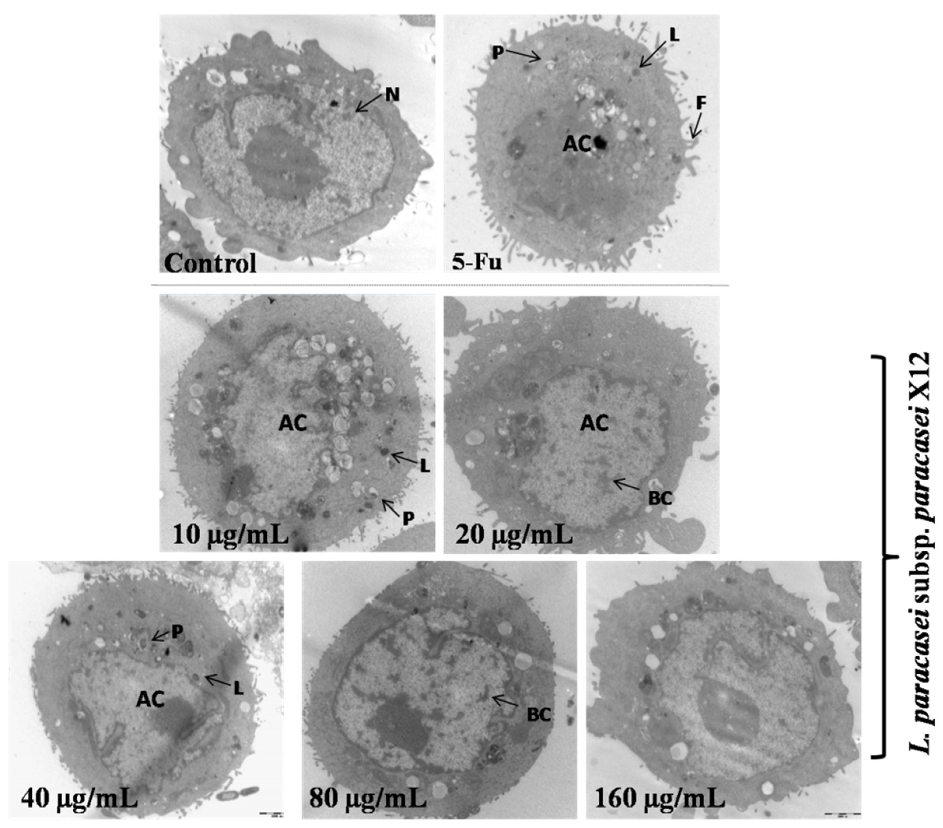 Nutrients 15 02123 g004