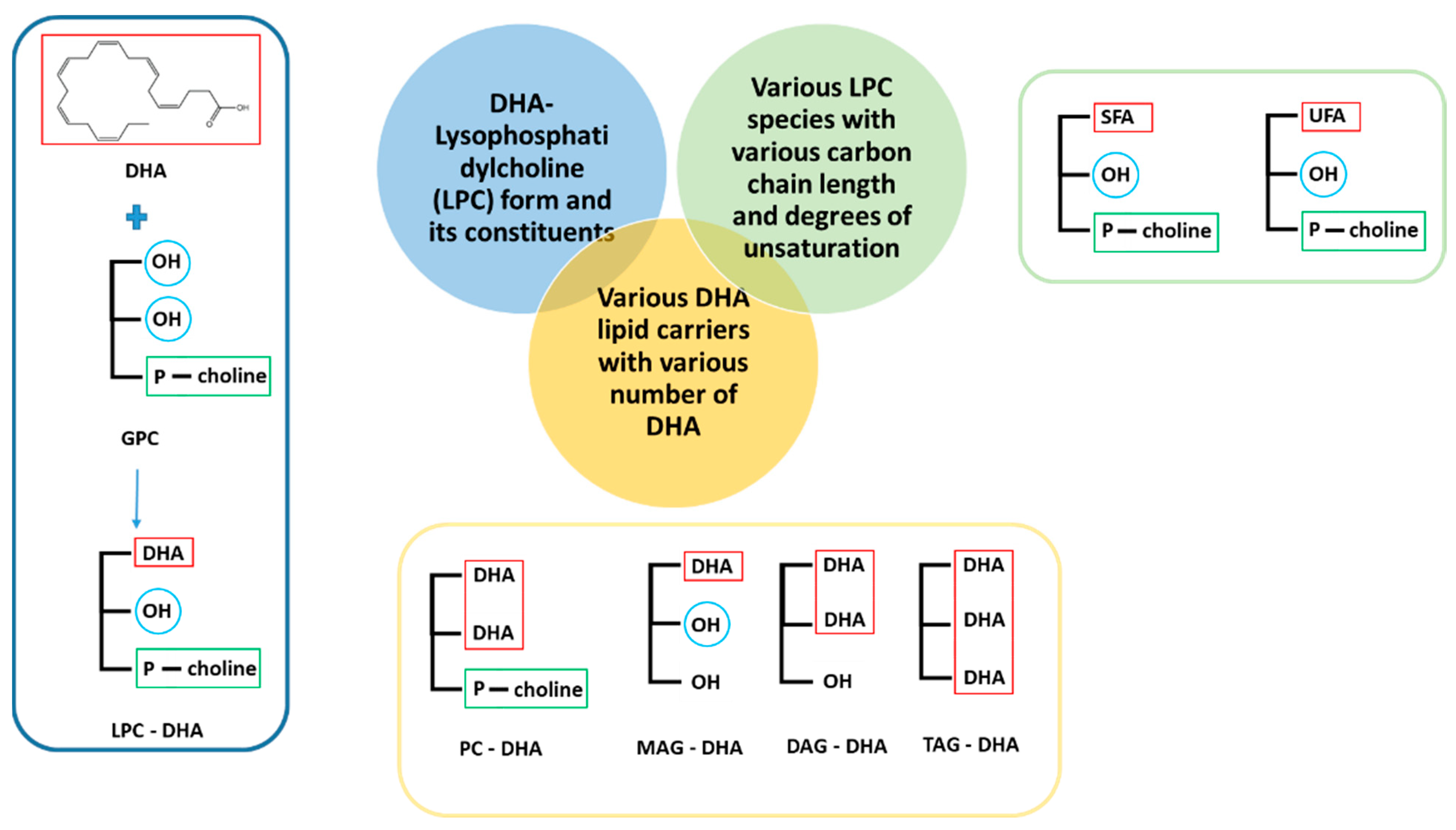 Nutrients 15 02137 g001 Nutrients 15 02137 g001