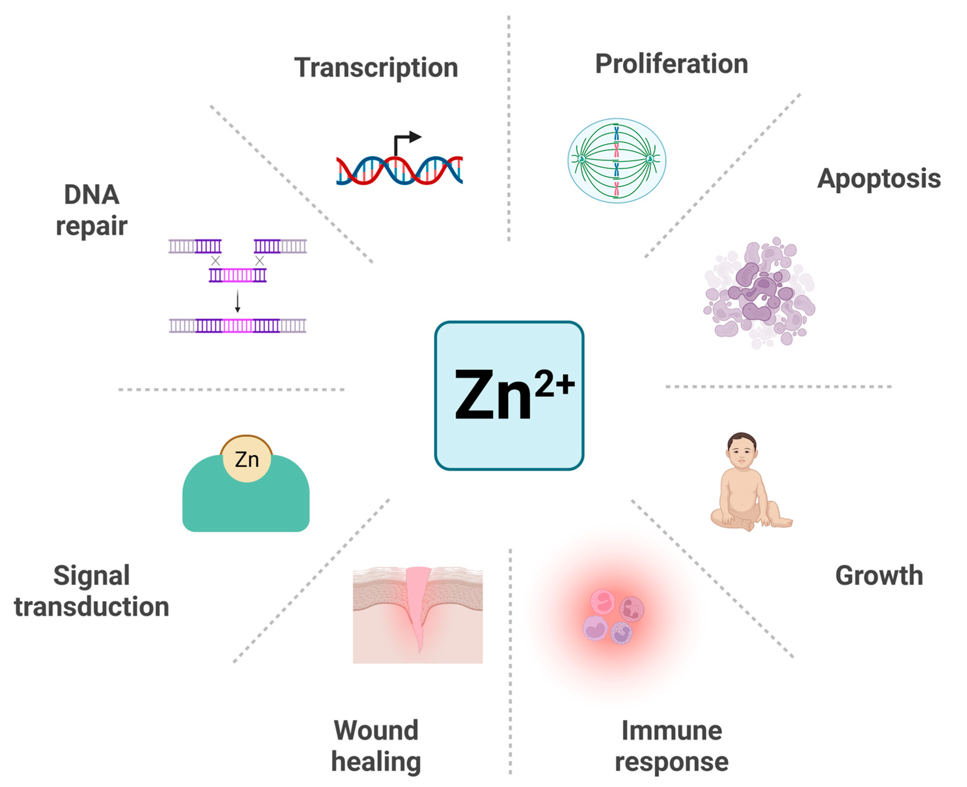Nutrients 15 02140 g001 Nutrients 15 02140 g001