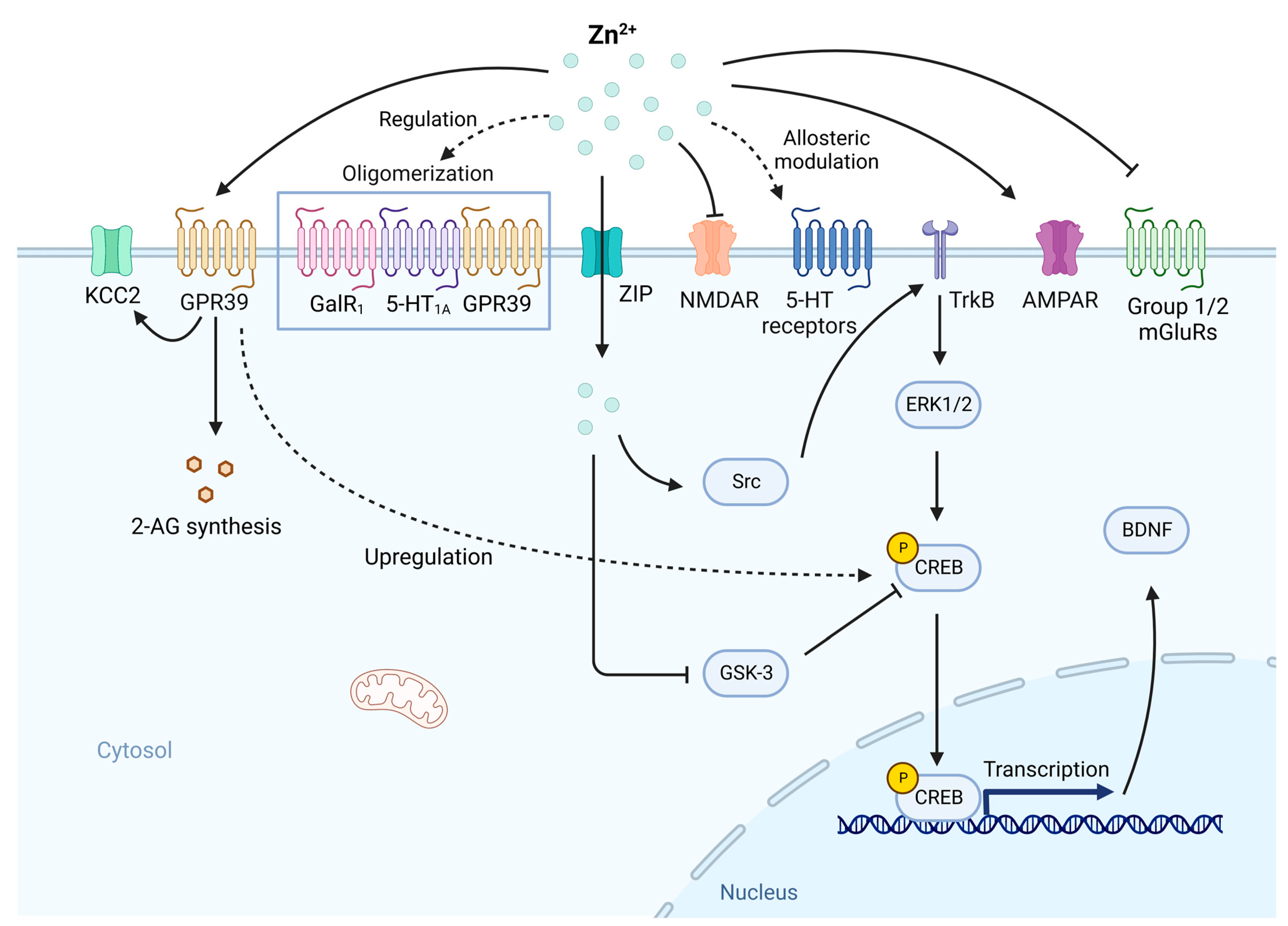 Nutrients 15 02140 g003 Nutrients 15 02140 g003
