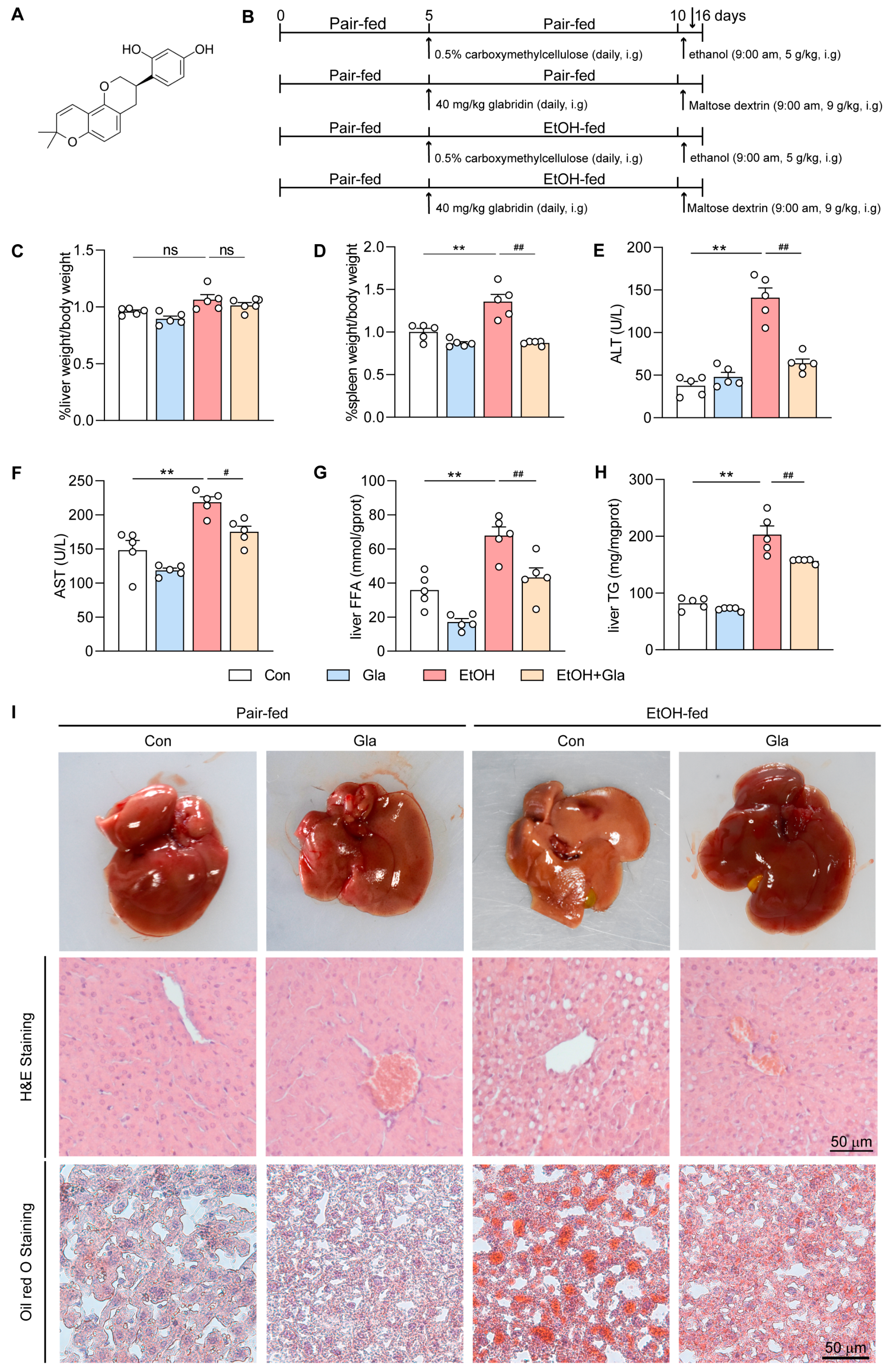 Nutrients 15 02157 g001
