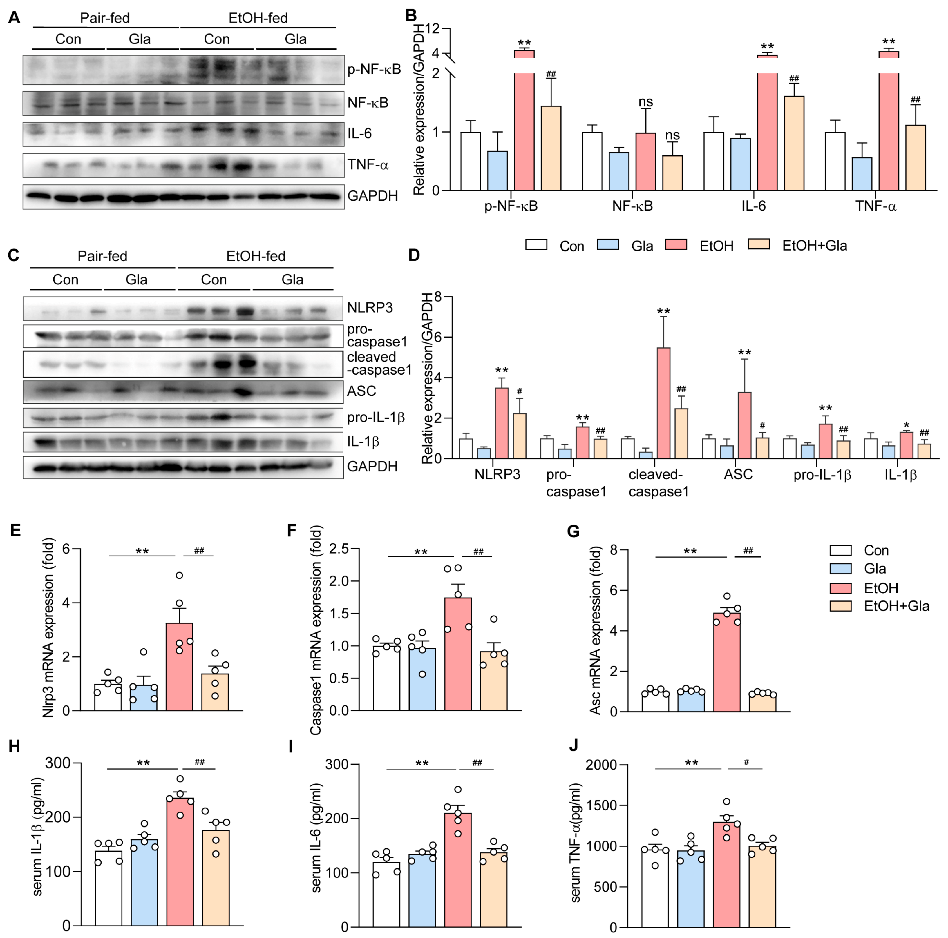Nutrients 15 02157 g002