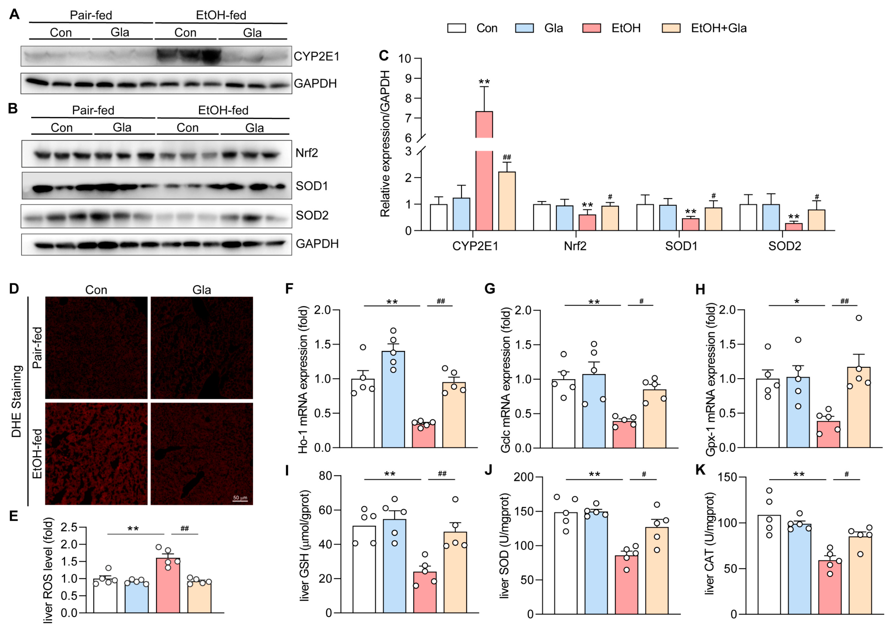 Nutrients 15 02157 g003