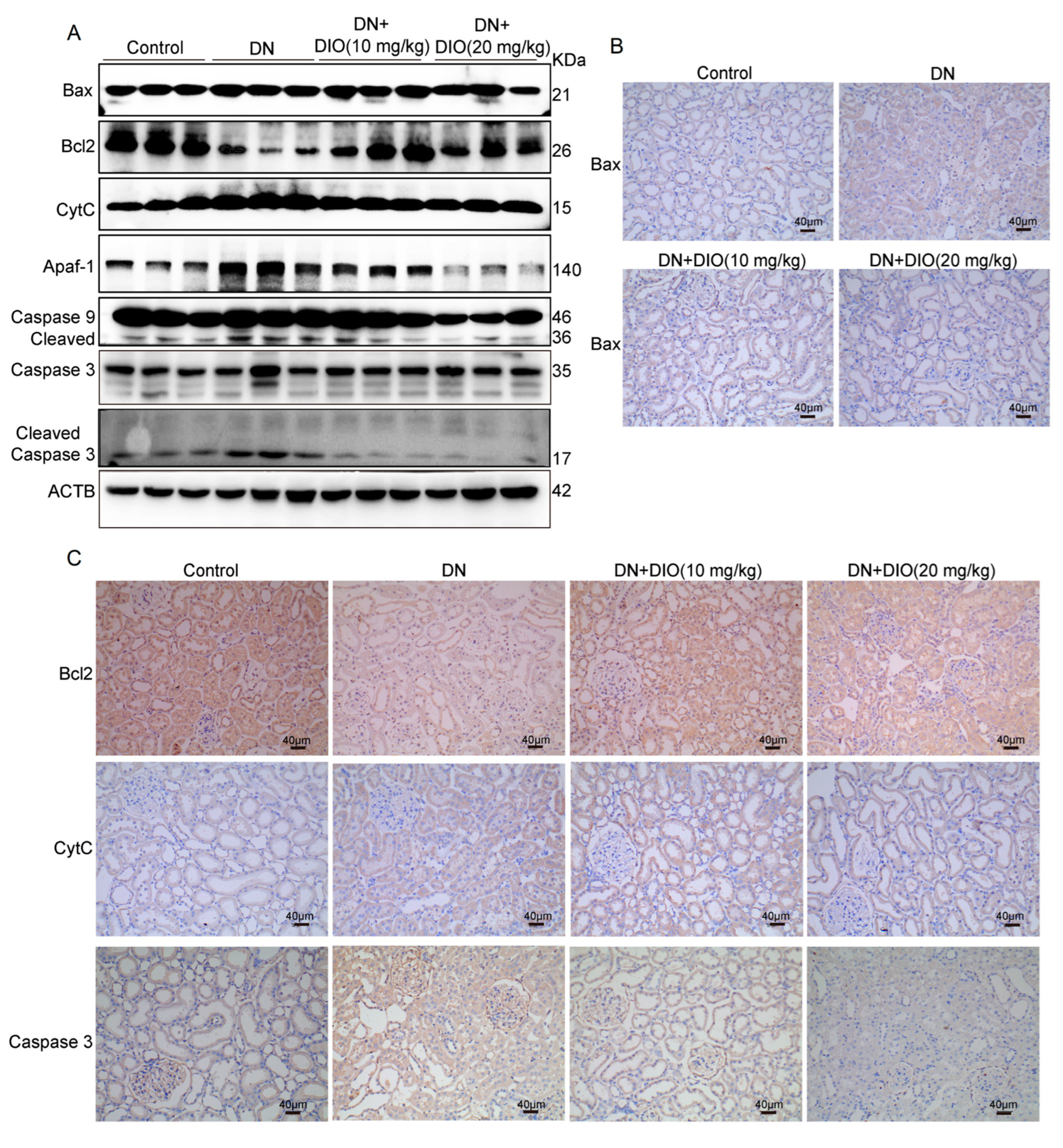 Nutrients 15 02164 g006