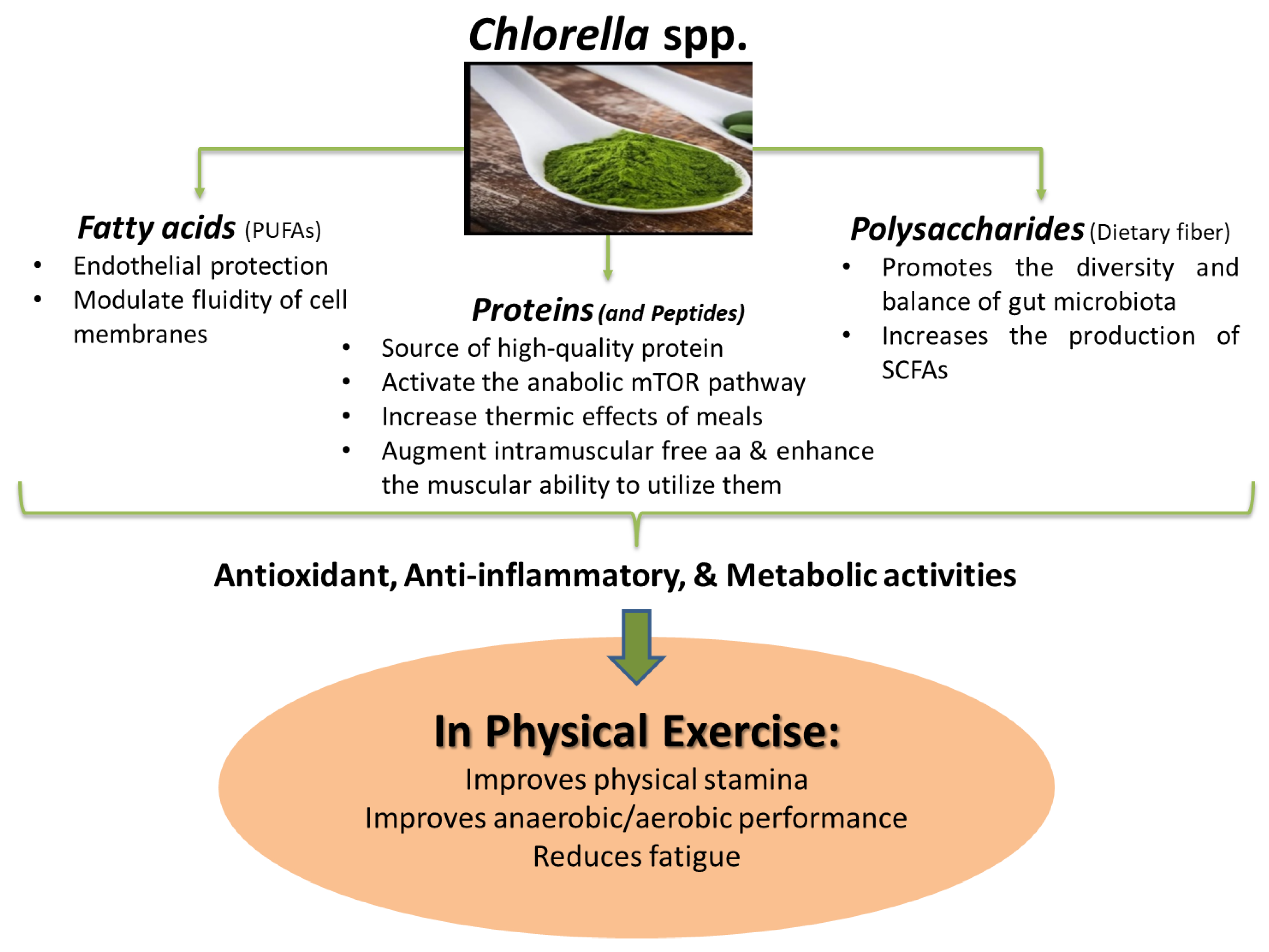 Nutrients 15 02168 g001 Nutrients 15 02168 g001