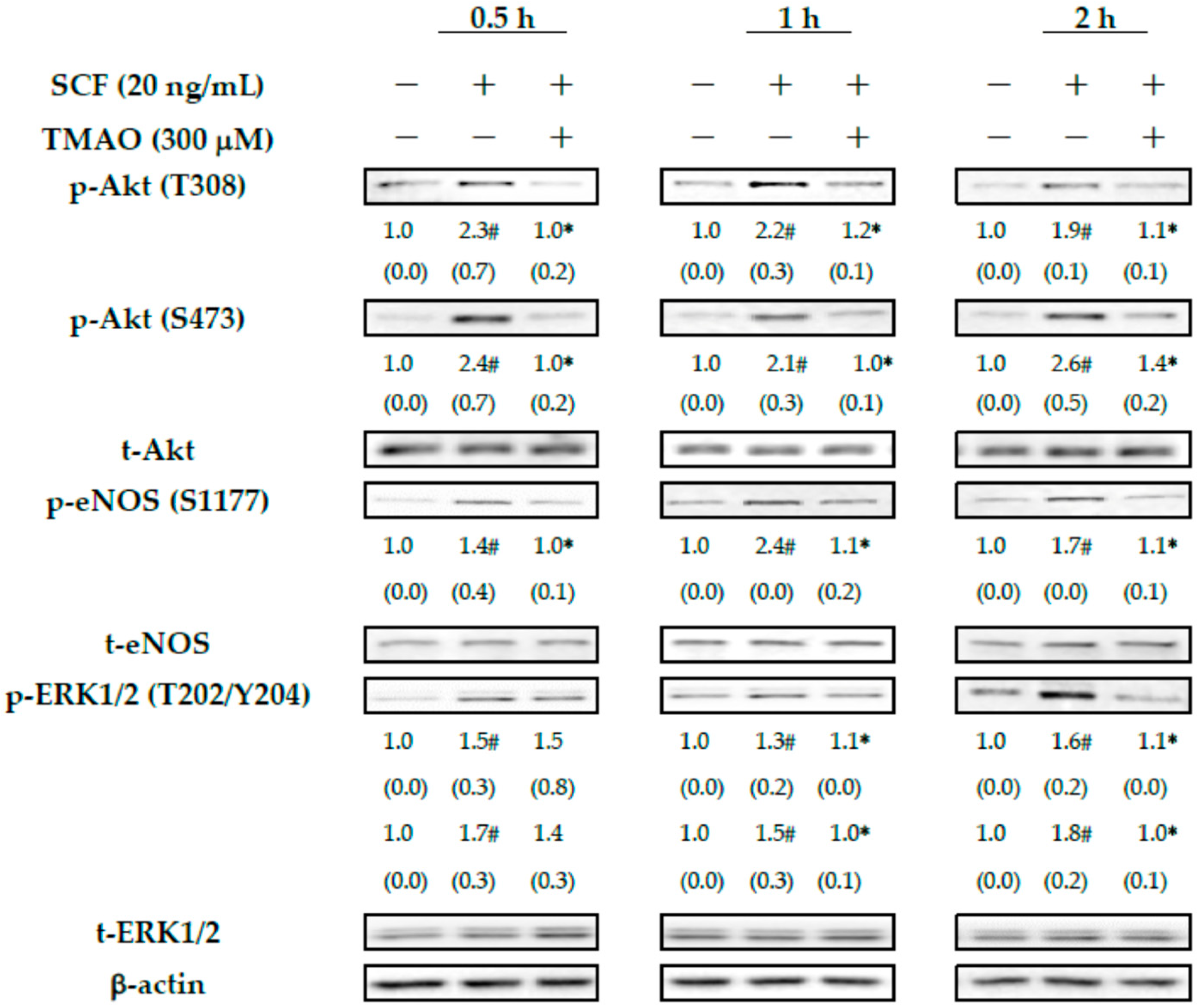 Nutrients 15 02190 g002 Nutrients 15 02190 g002