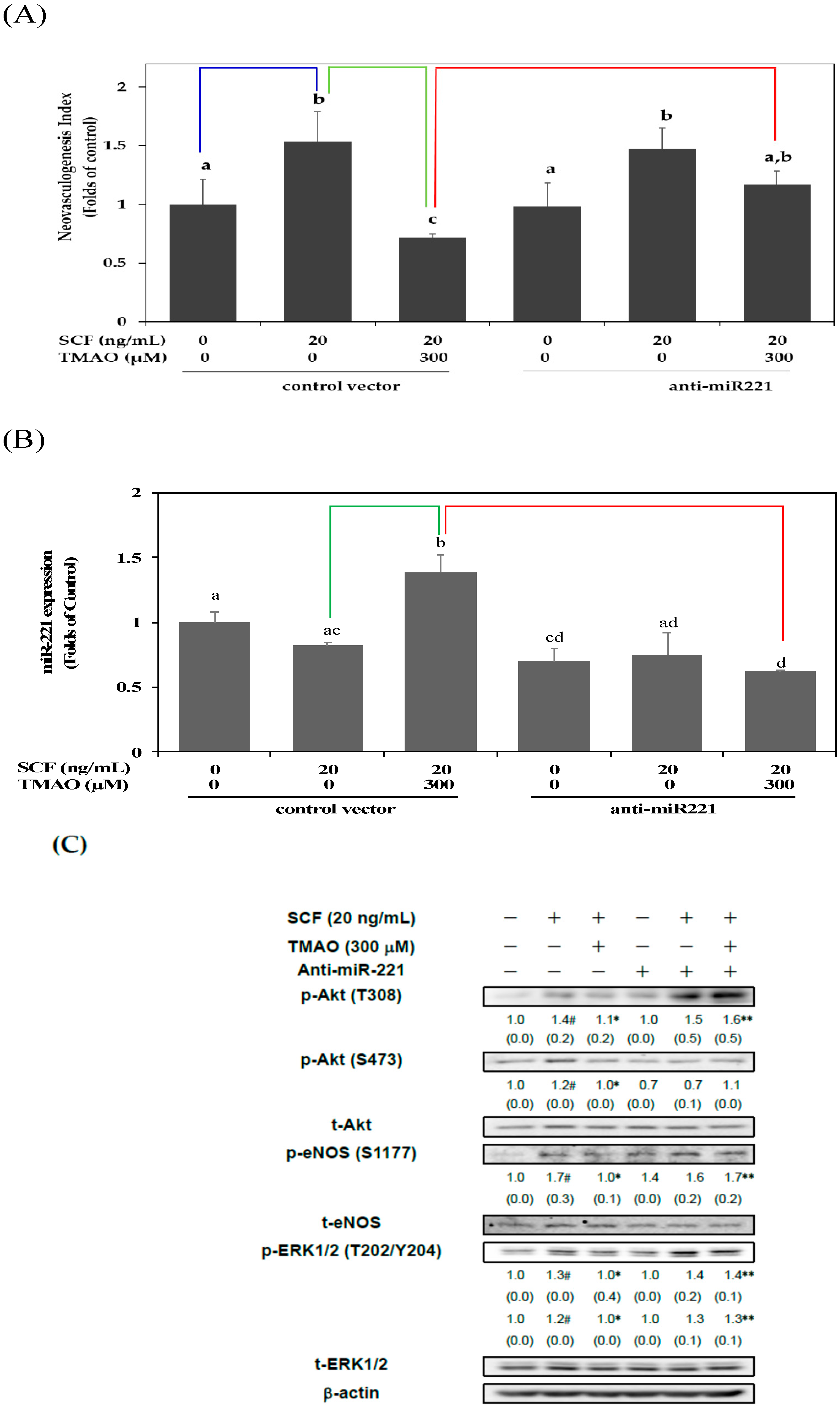 Nutrients 15 02190 g003 Nutrients 15 02190 g003