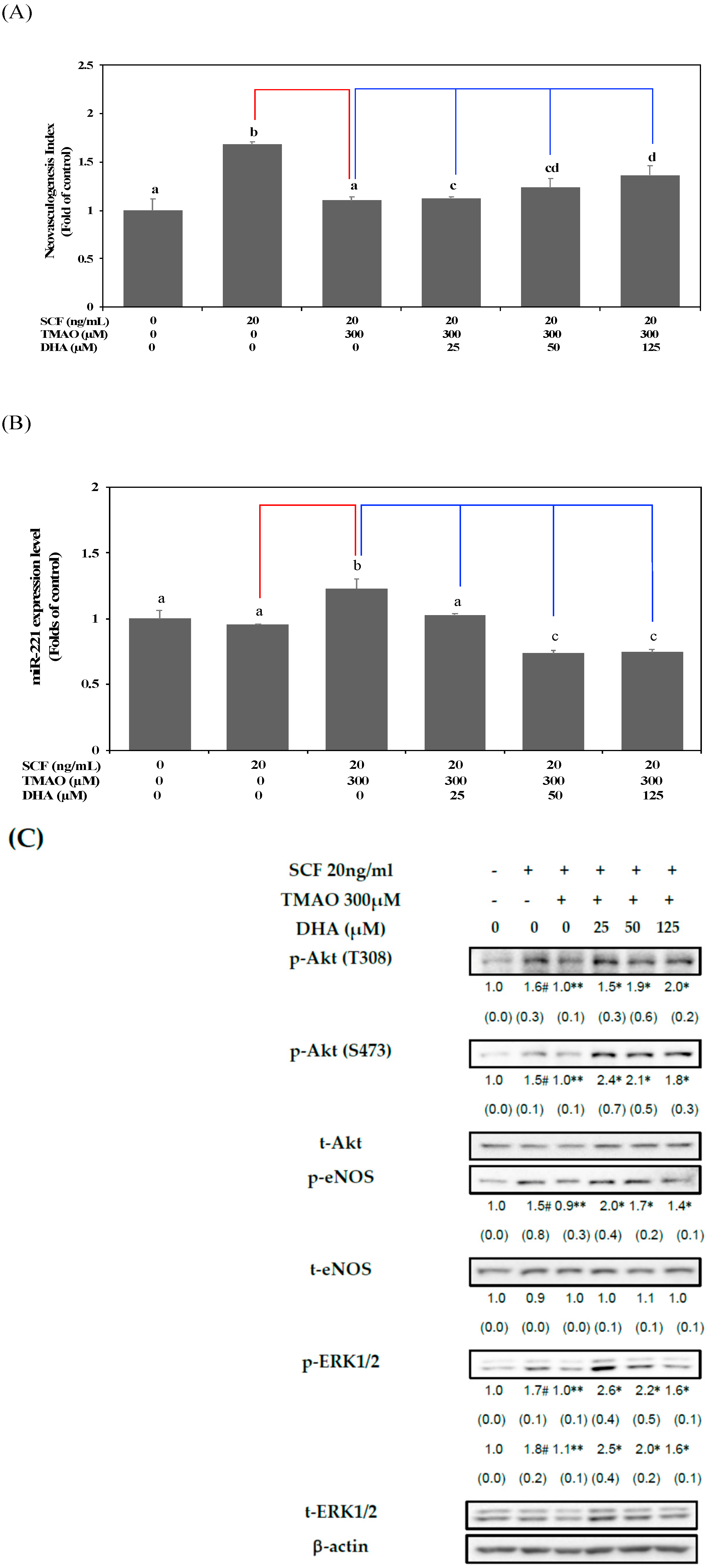 Nutrients 15 02190 g004 Nutrients 15 02190 g004