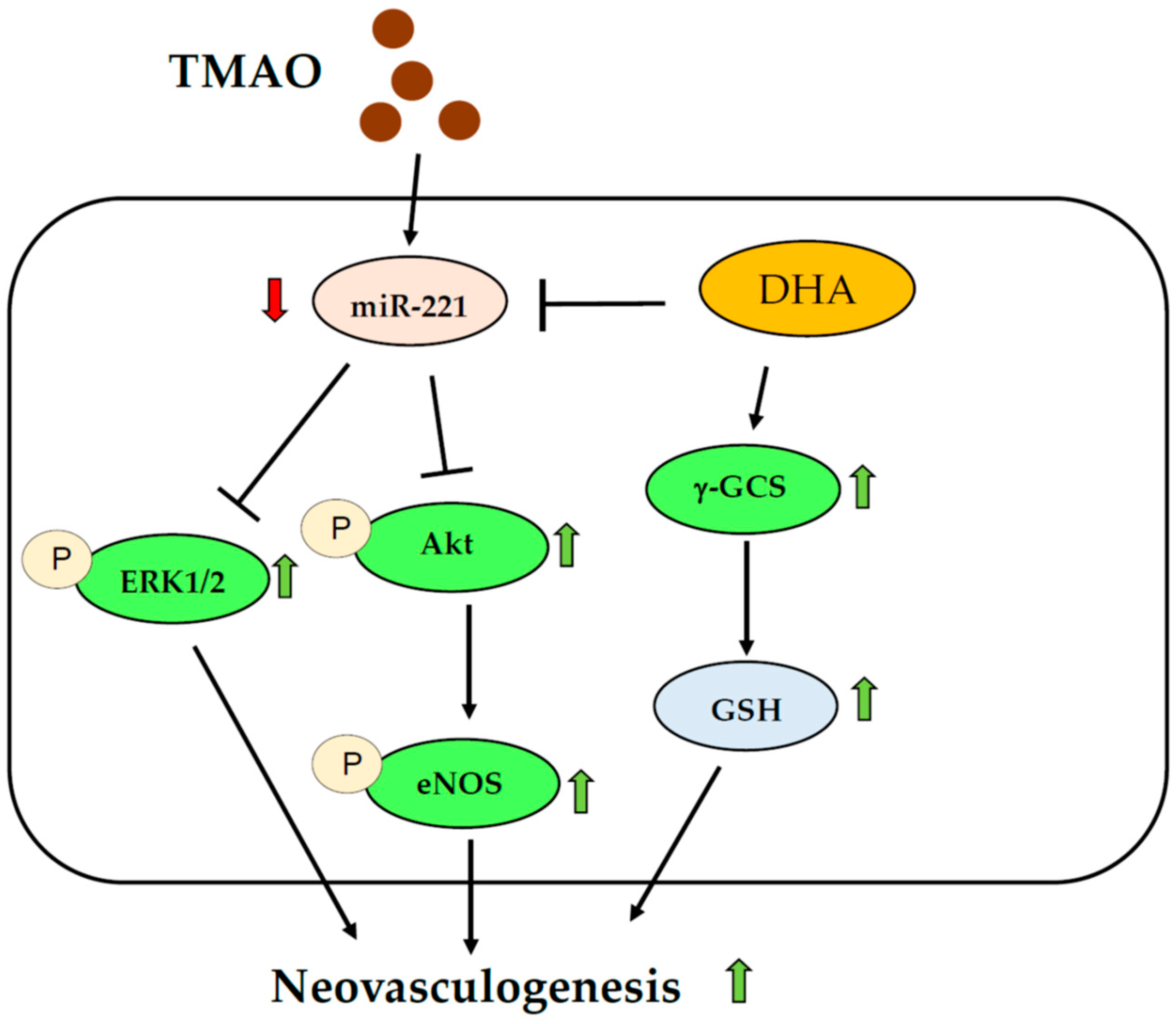 Nutrients 15 02190 g006 Nutrients 15 02190 g006