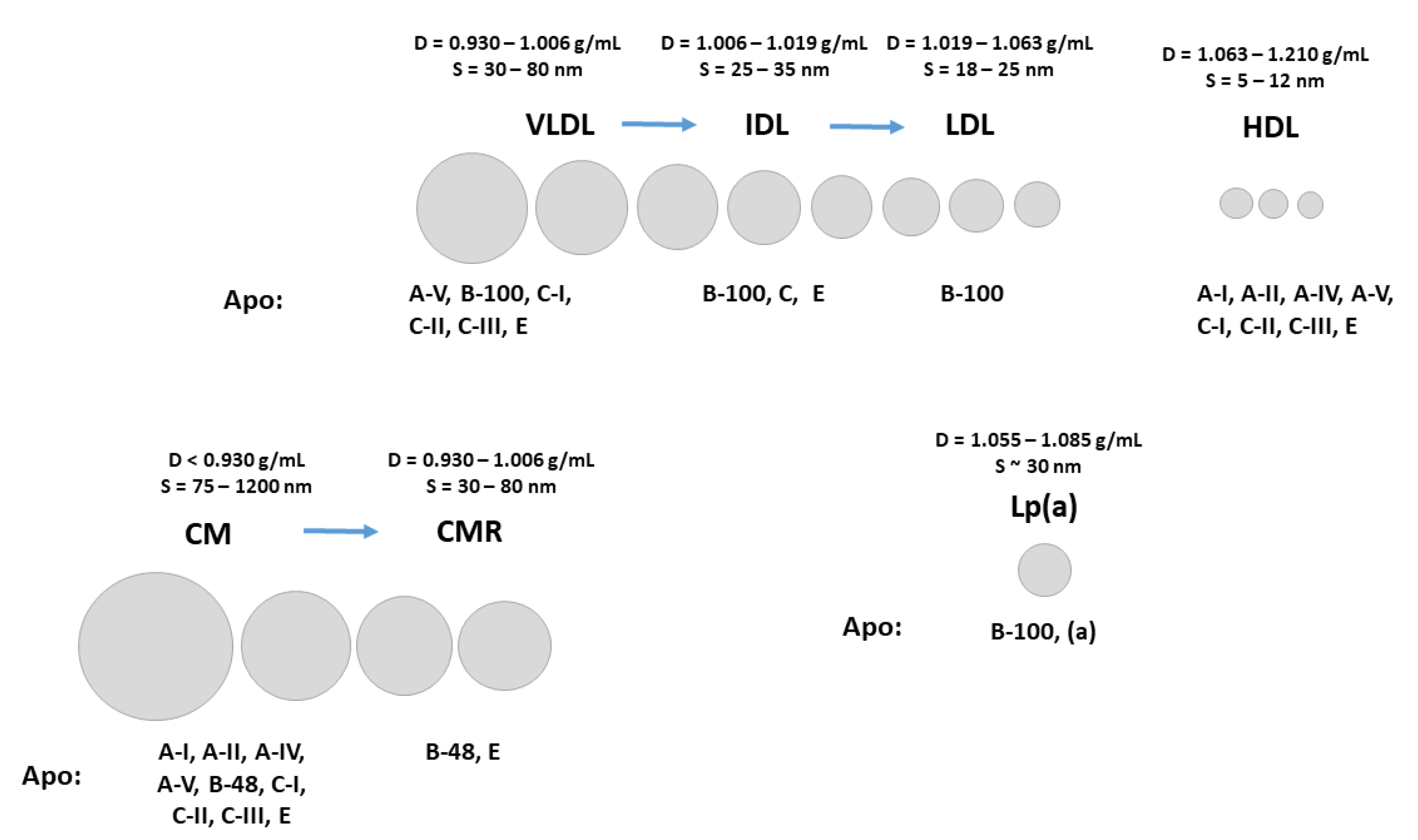 Nutrients 15 02202 g001