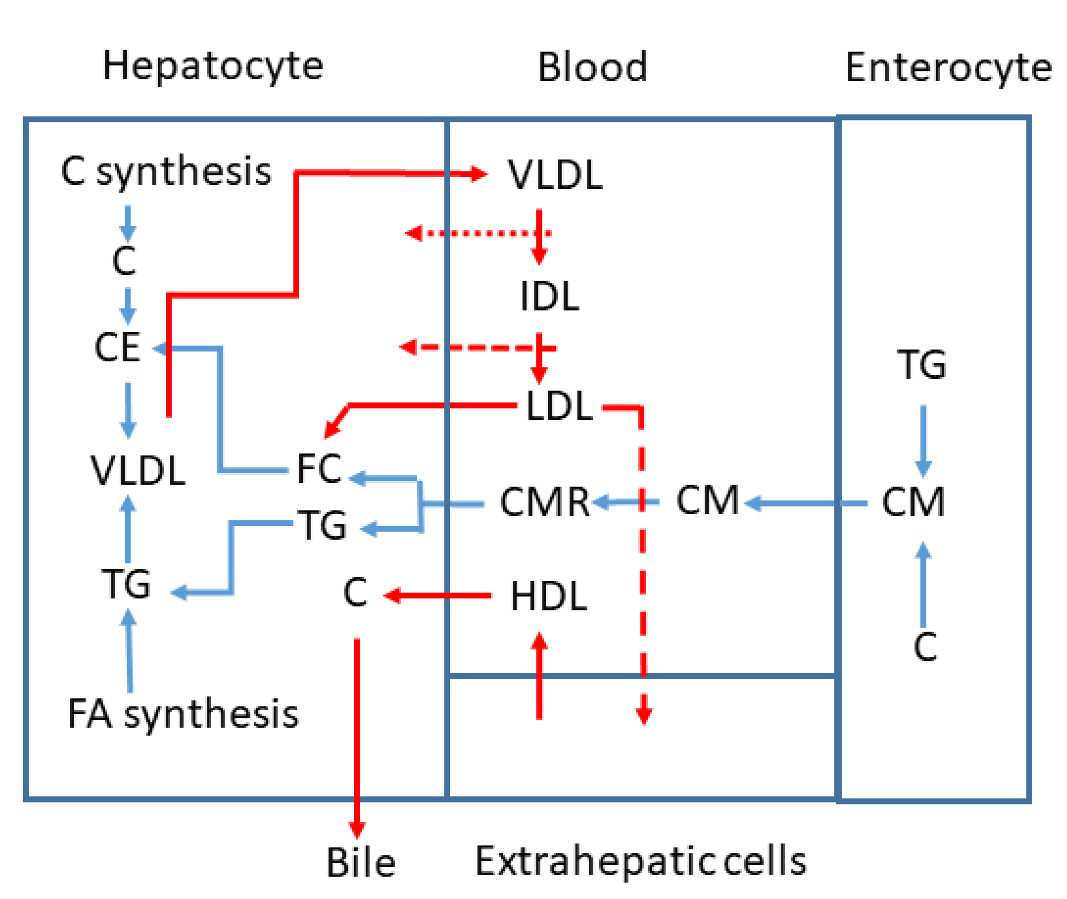 Nutrients 15 02202 g002