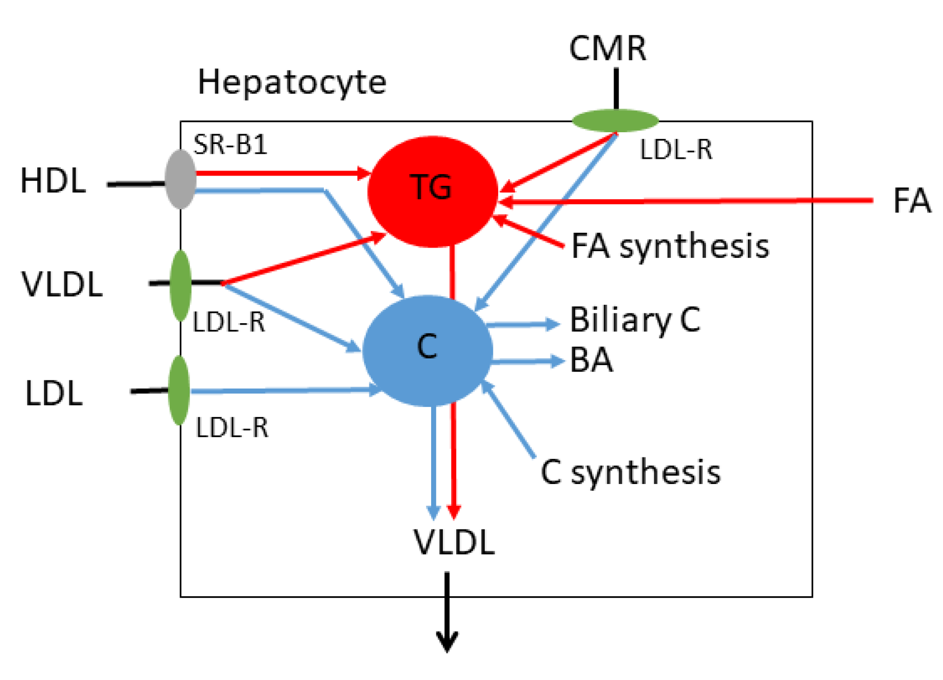 Nutrients 15 02202 g003