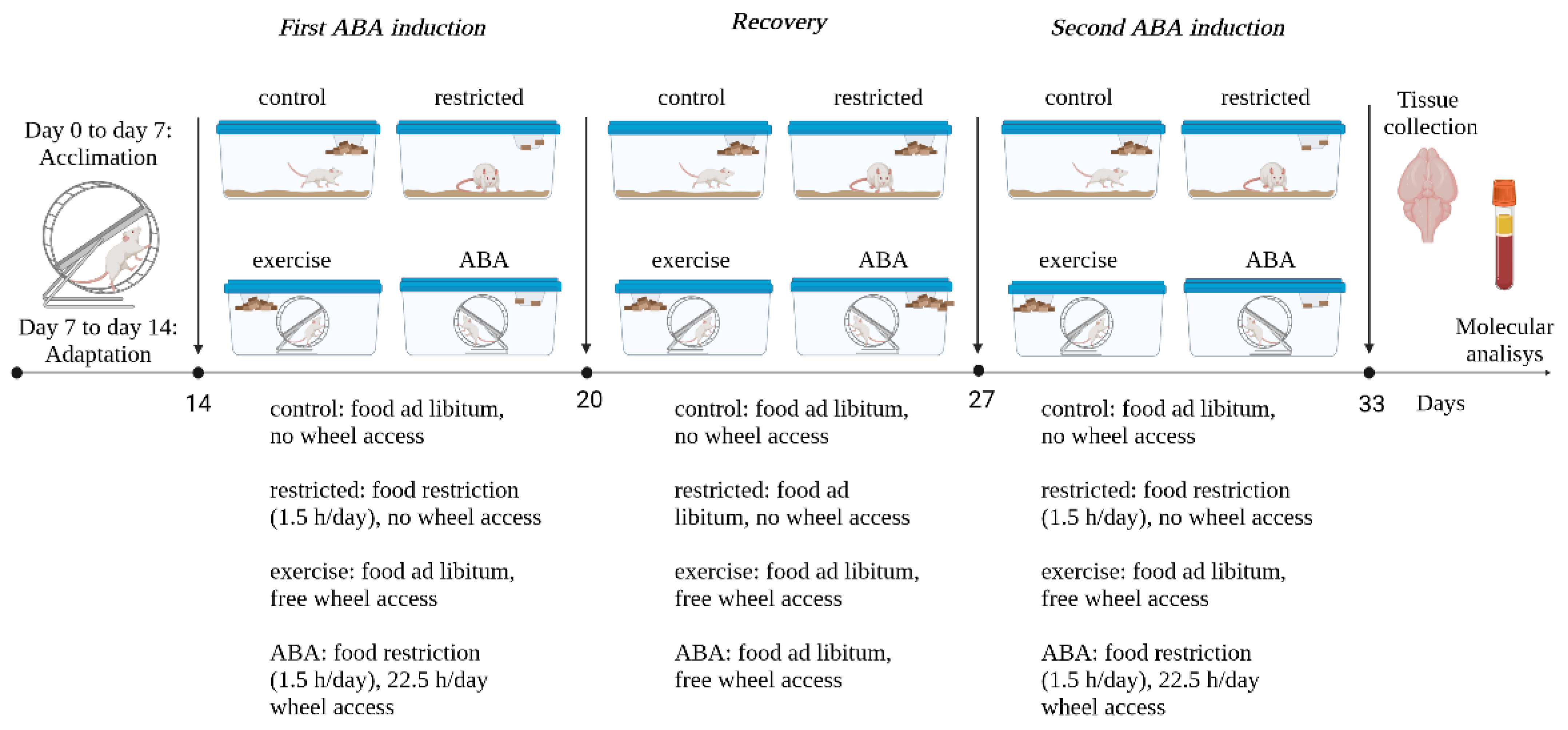 Nutrients 15 02205 g001
