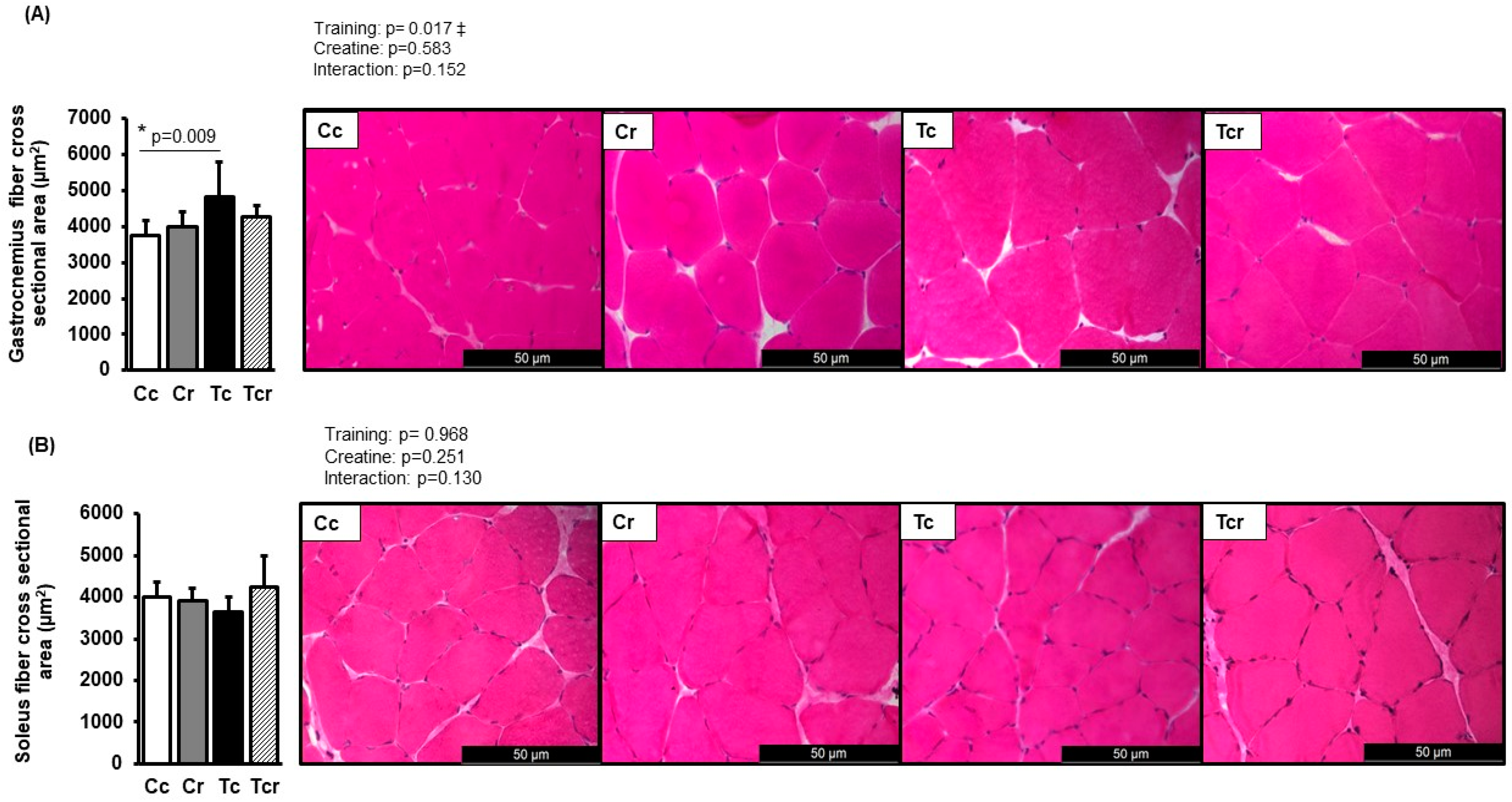 Nutrients 15 02224 g002
