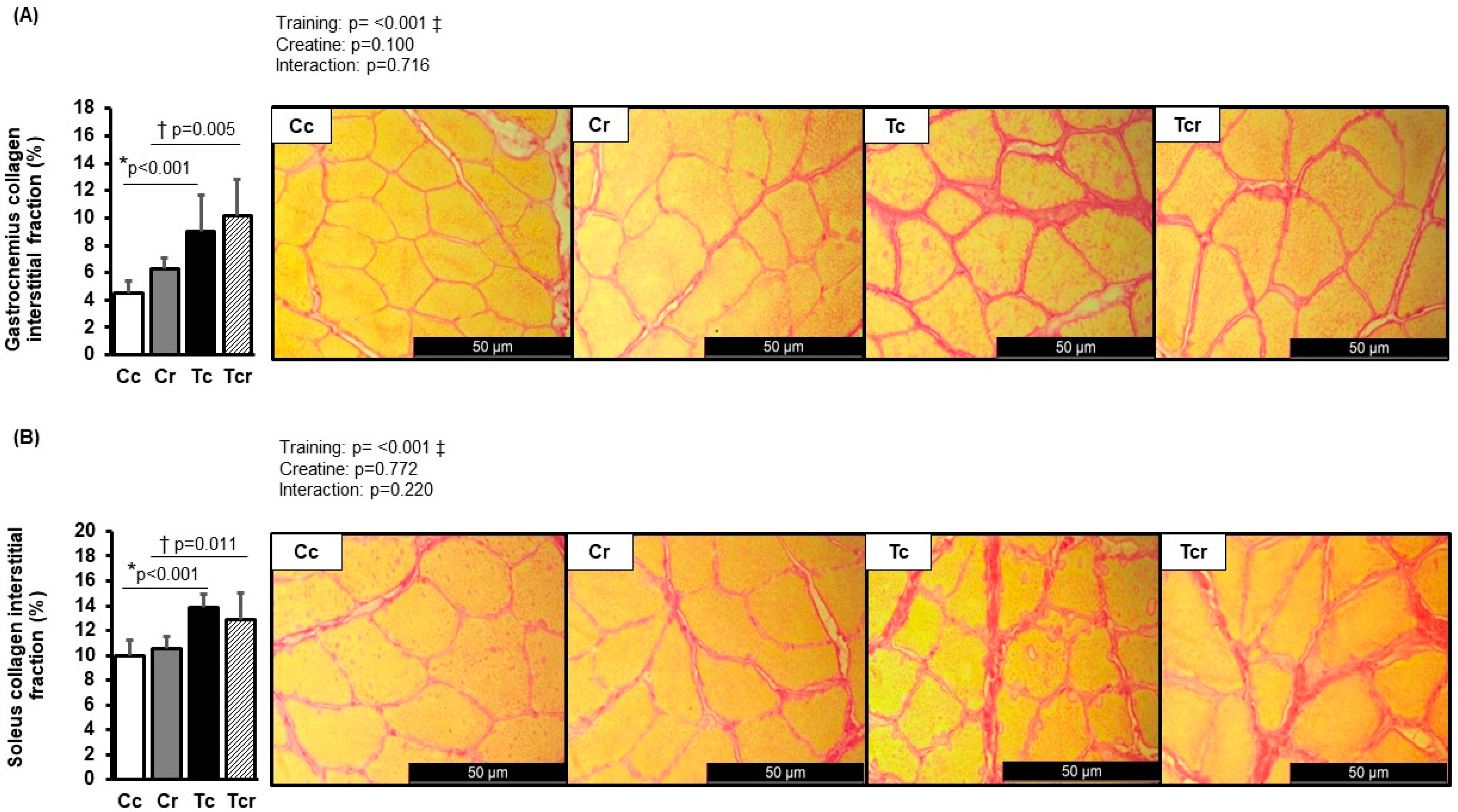 Nutrients 15 02224 g003
