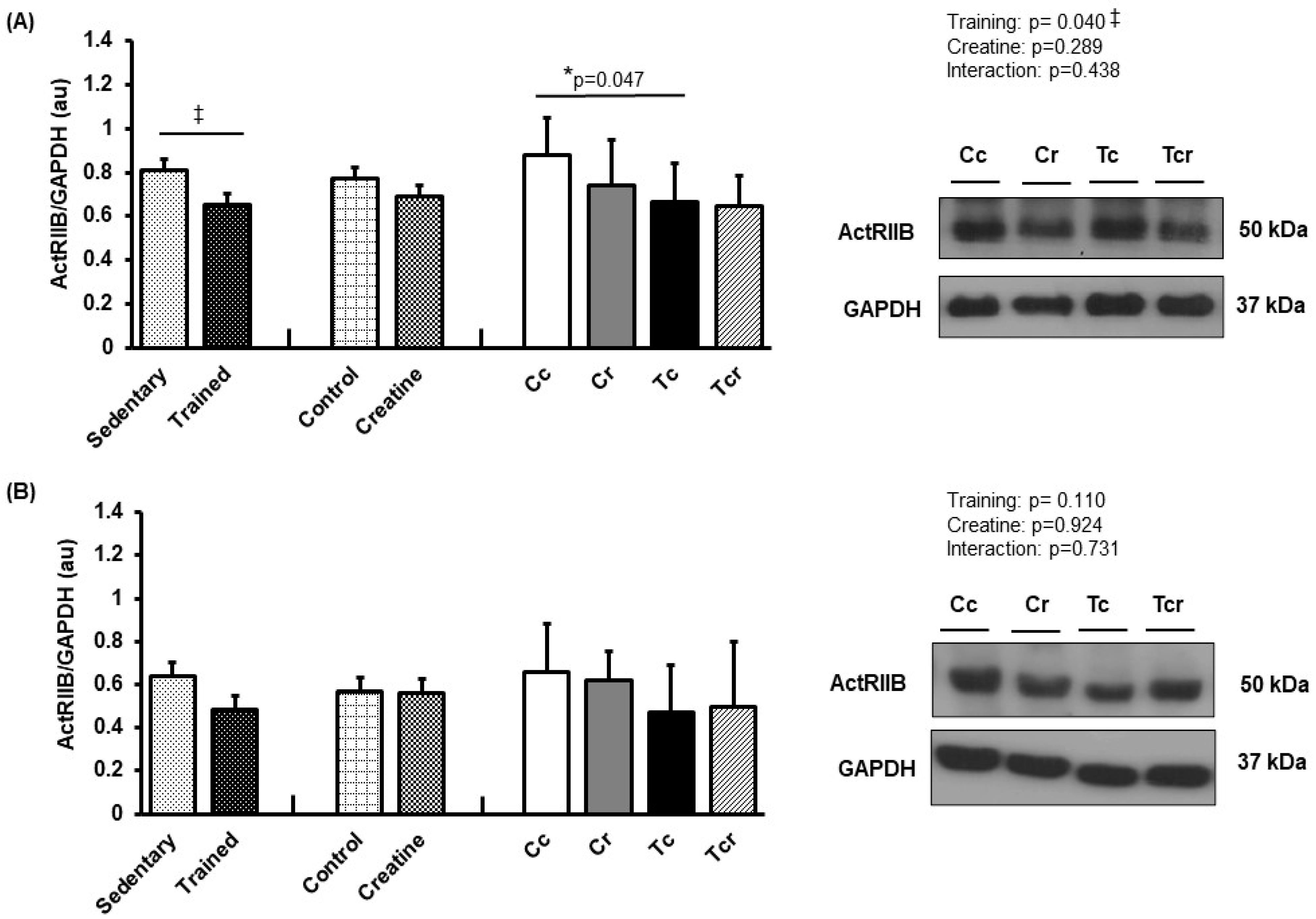 Nutrients 15 02224 g008