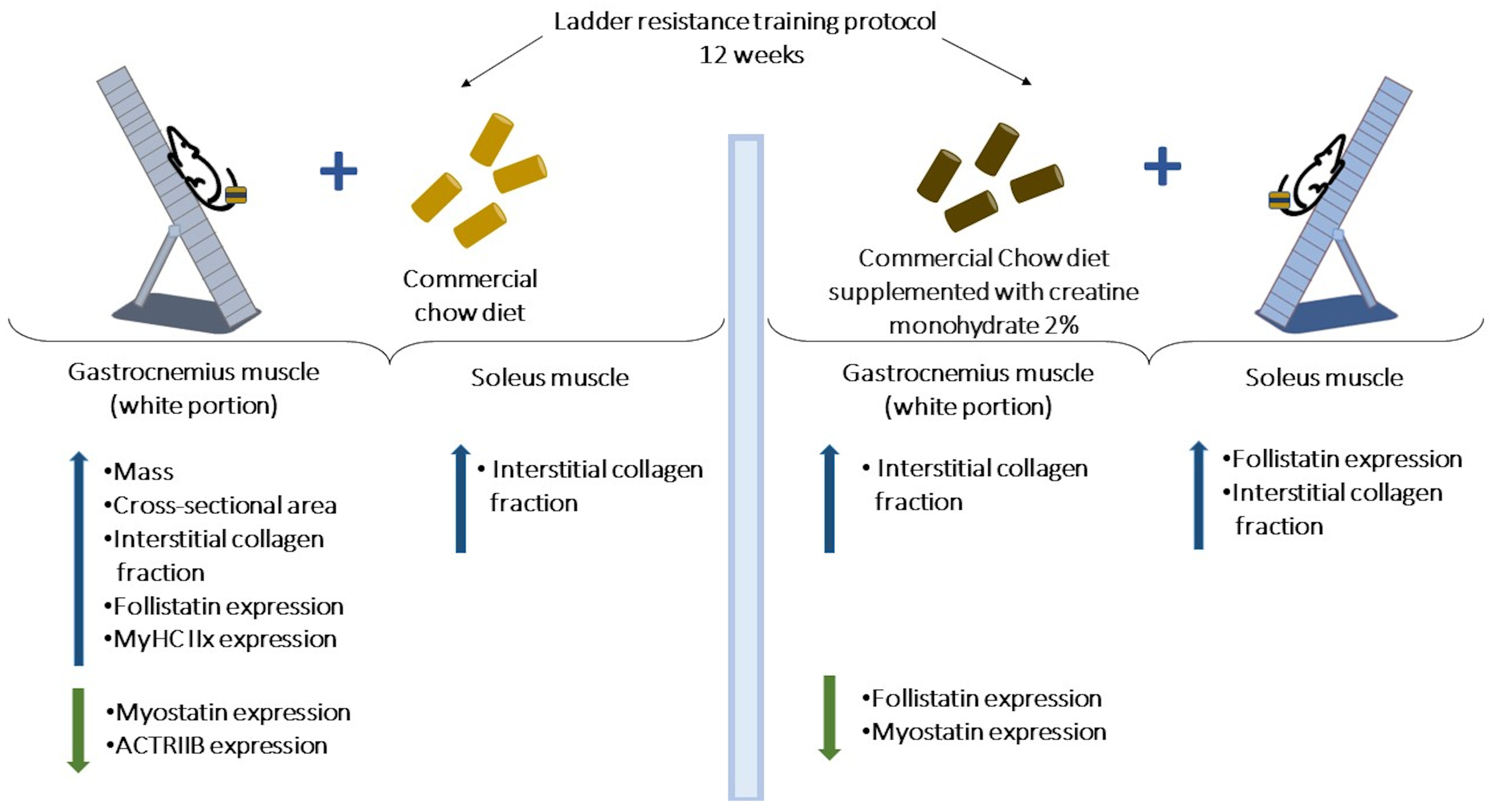 Nutrients 15 02224 g009