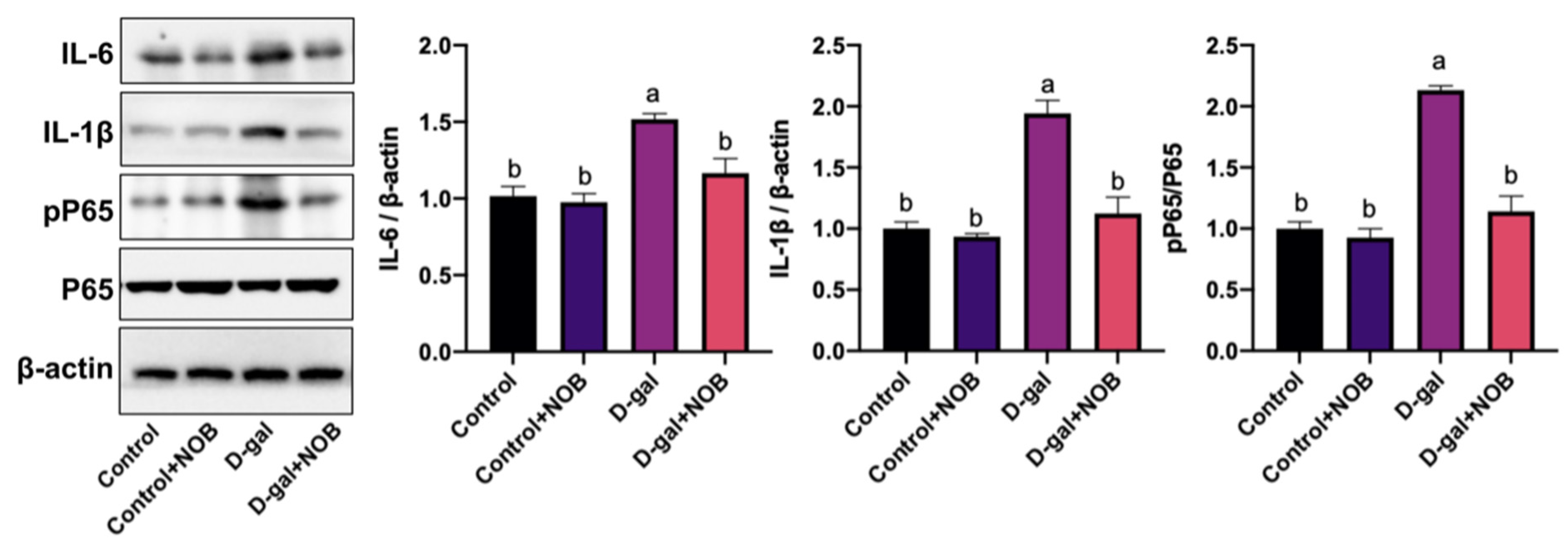 Nutrients 15 02228 g006