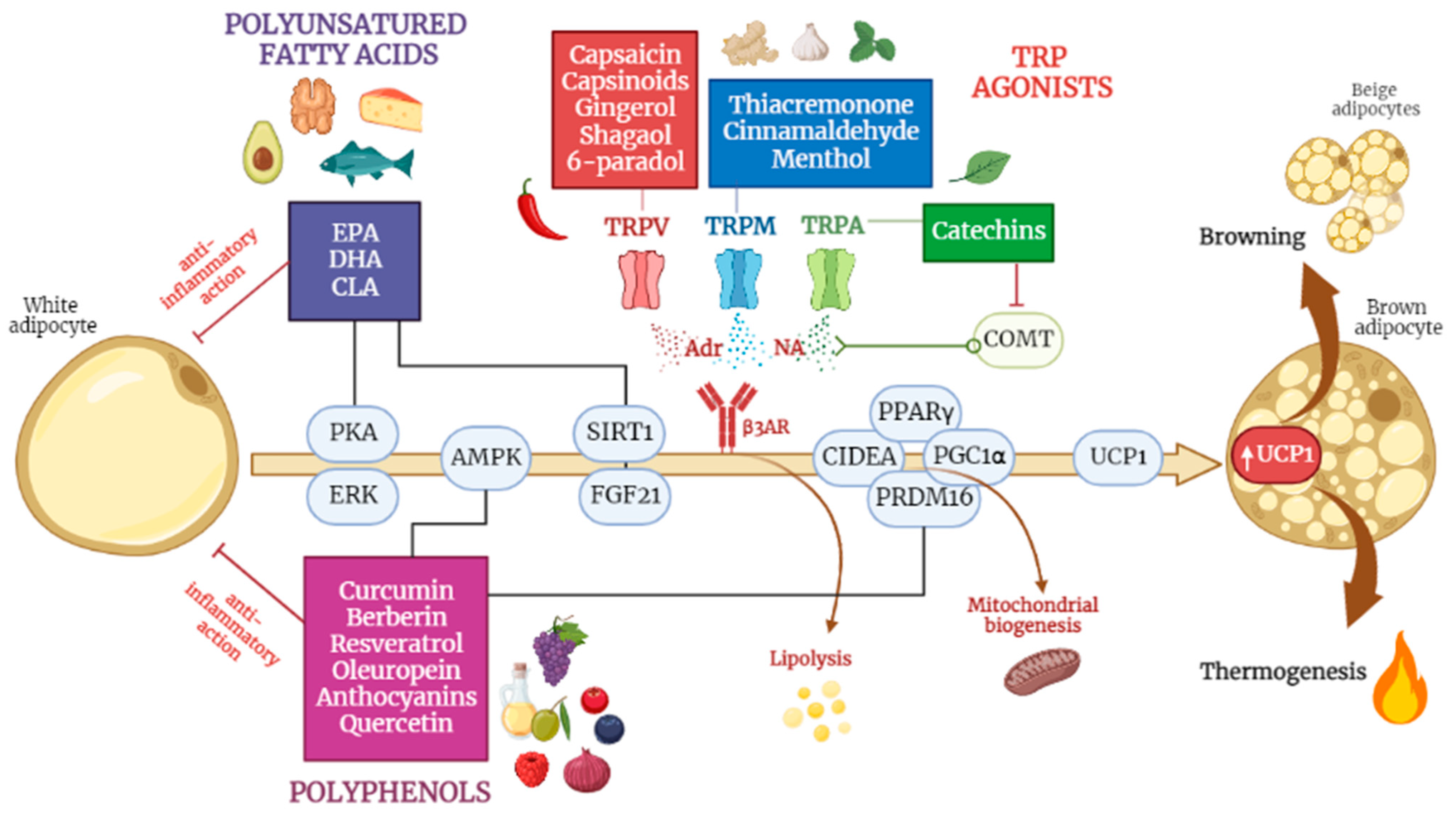 Nutrients 15 02229 g002