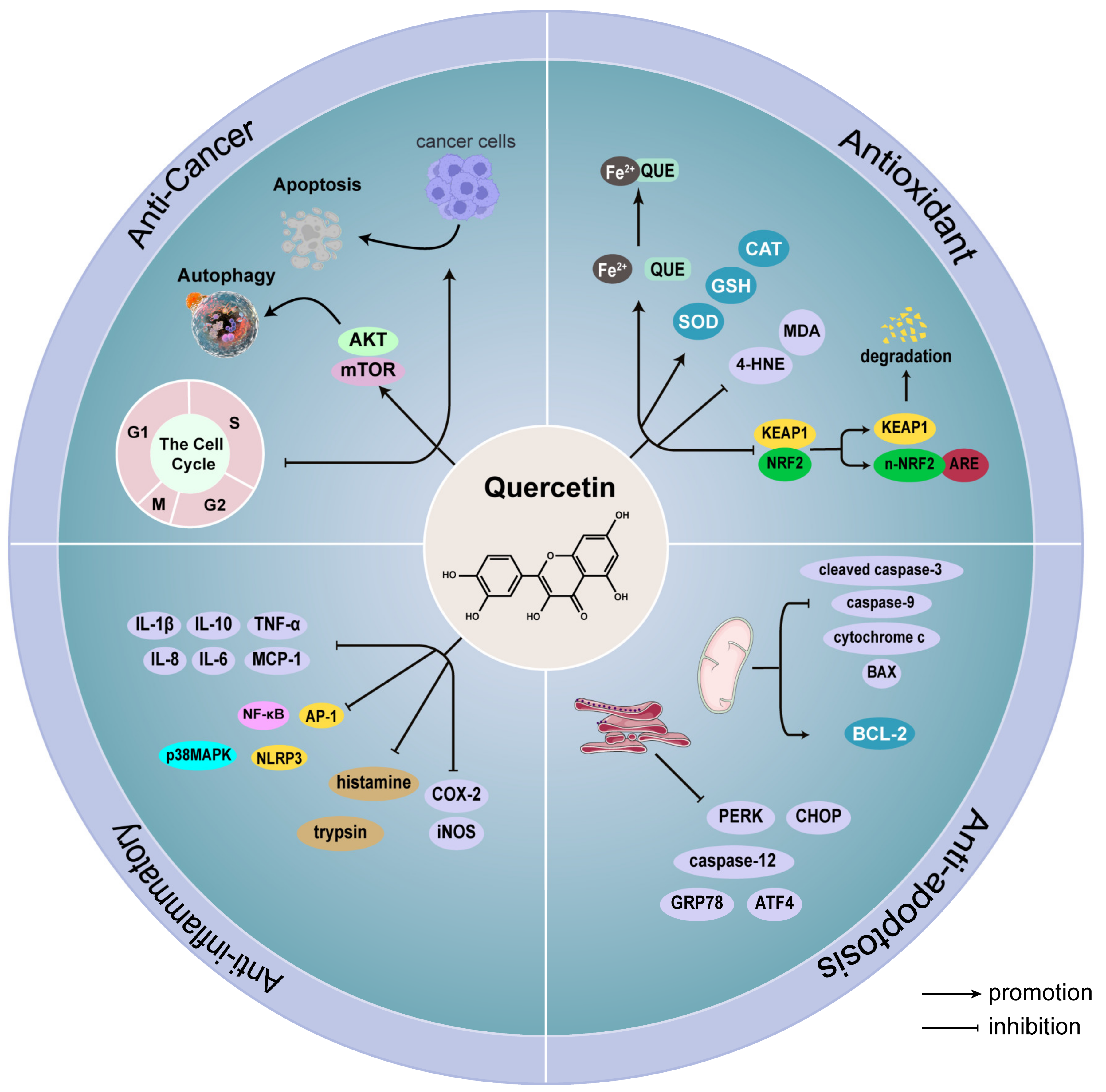 Nutrients 15 02231 g001