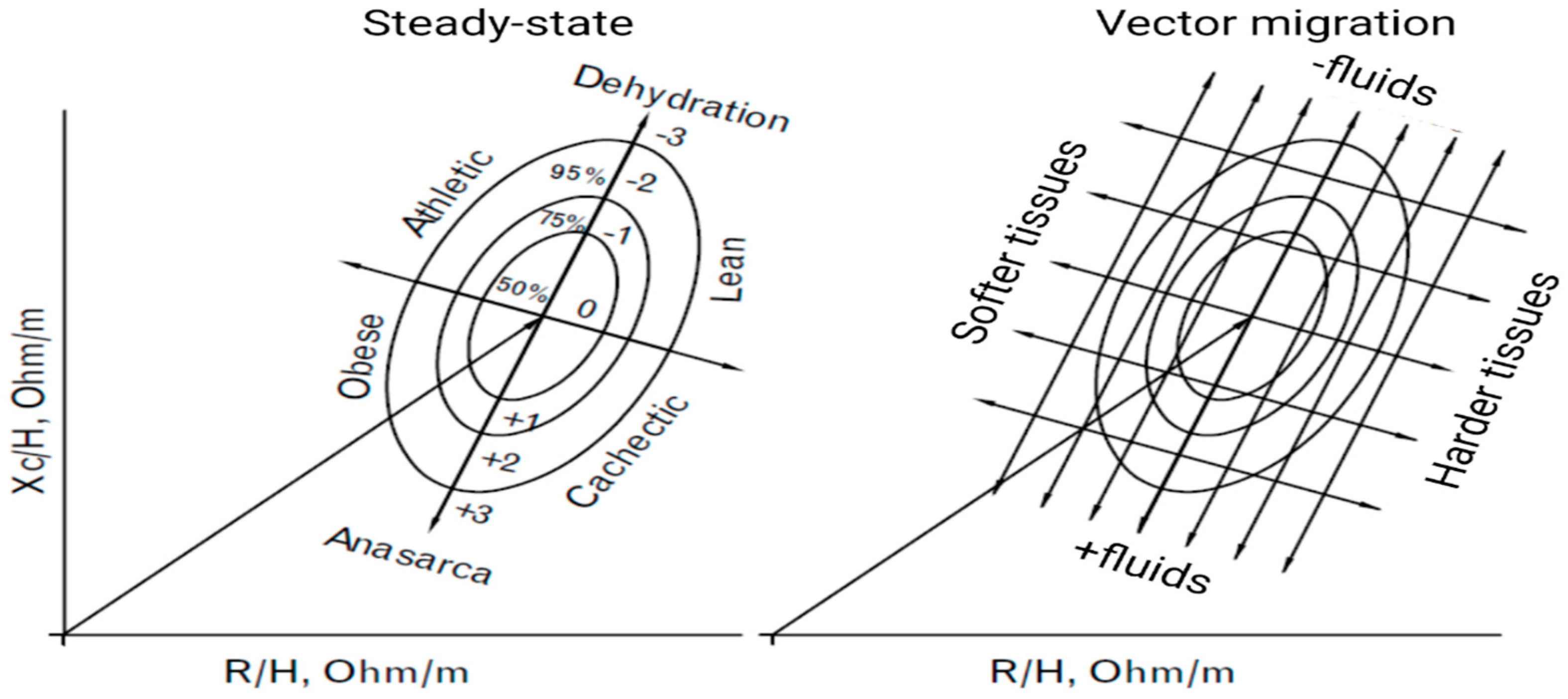 Nutrients 15 02264 g004 Nutrients 15 02264 g004
