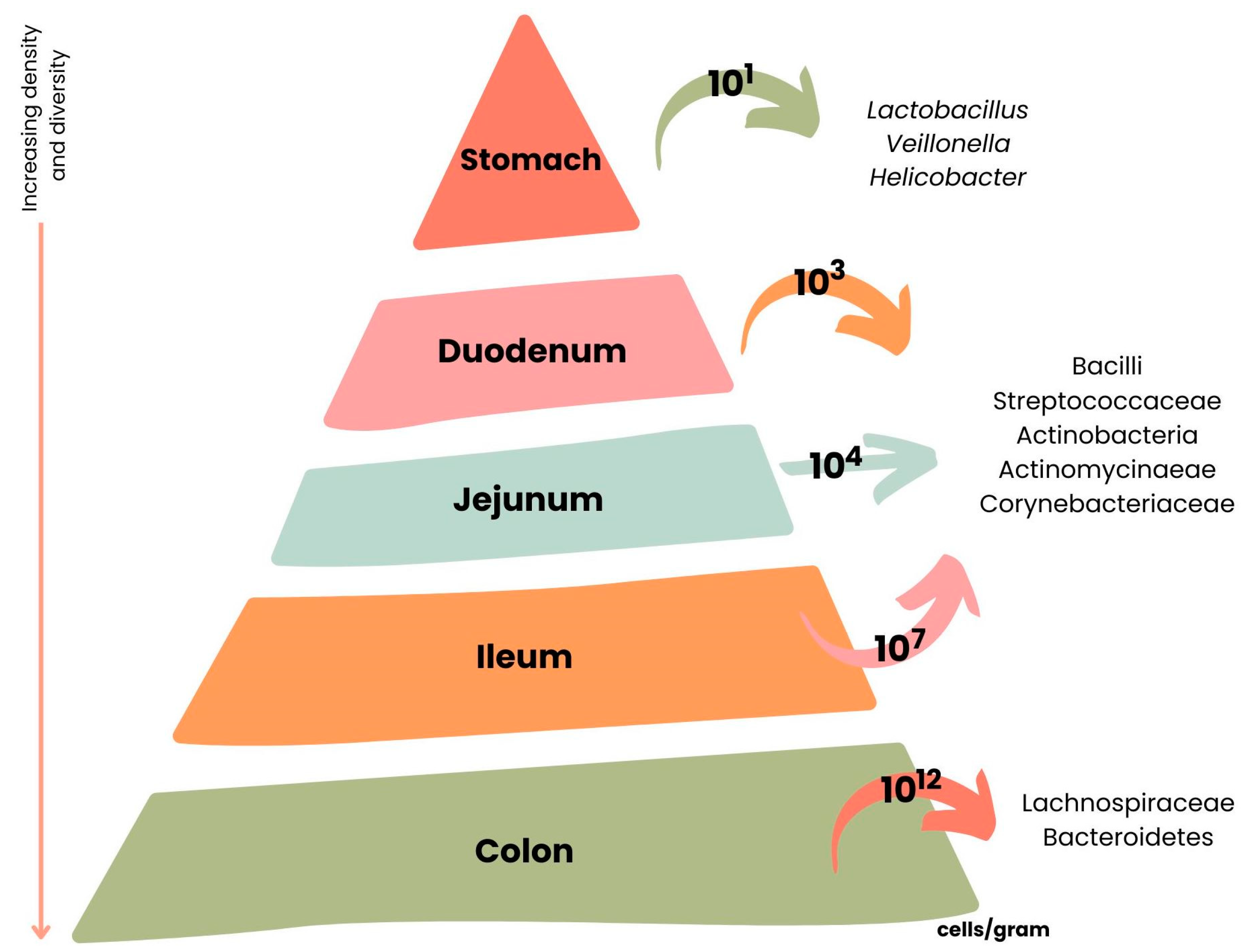 Nutrients 15 02265 g006 Nutrients 15 02265 g006