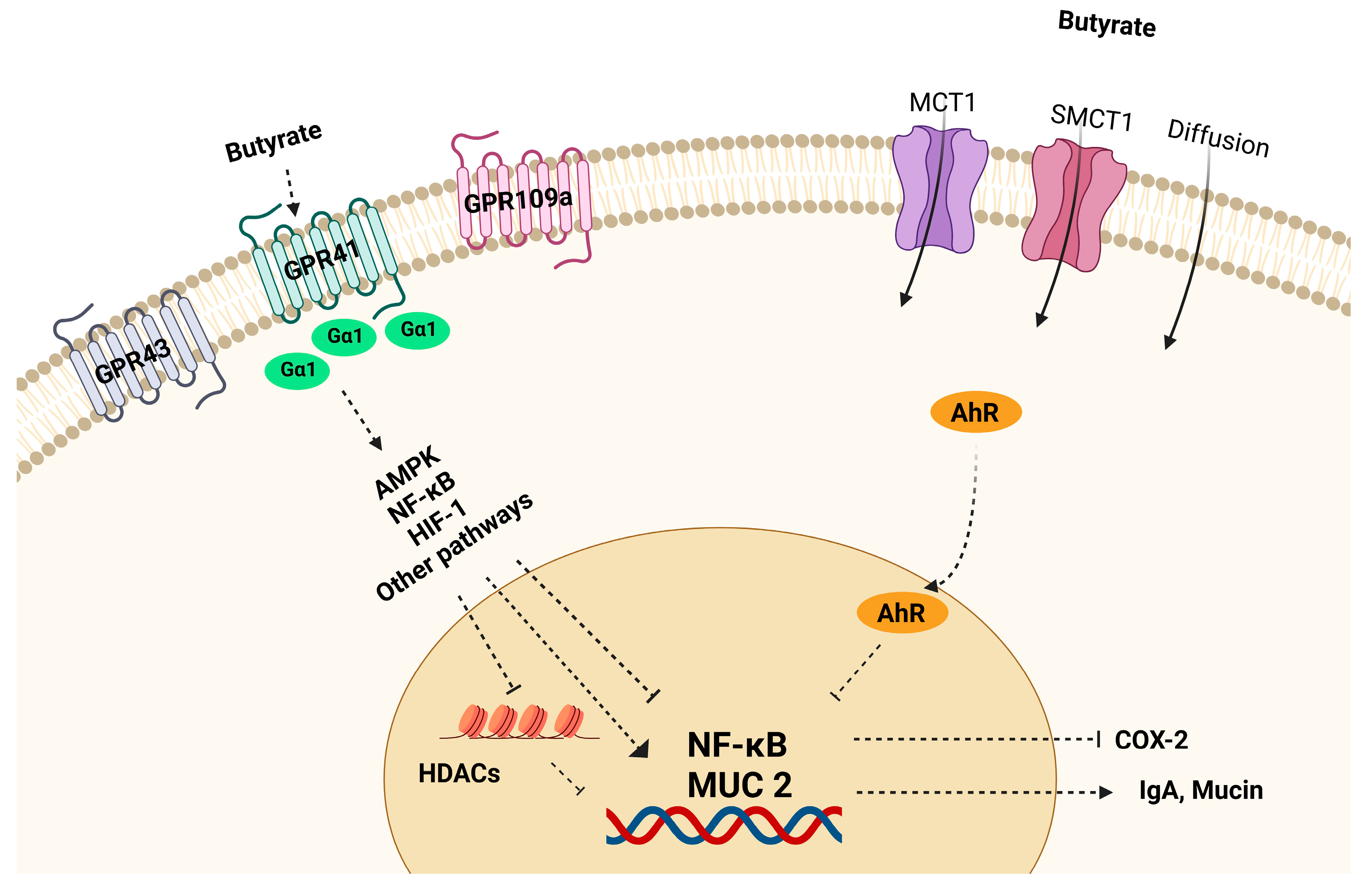 Nutrients 15 02275 g003