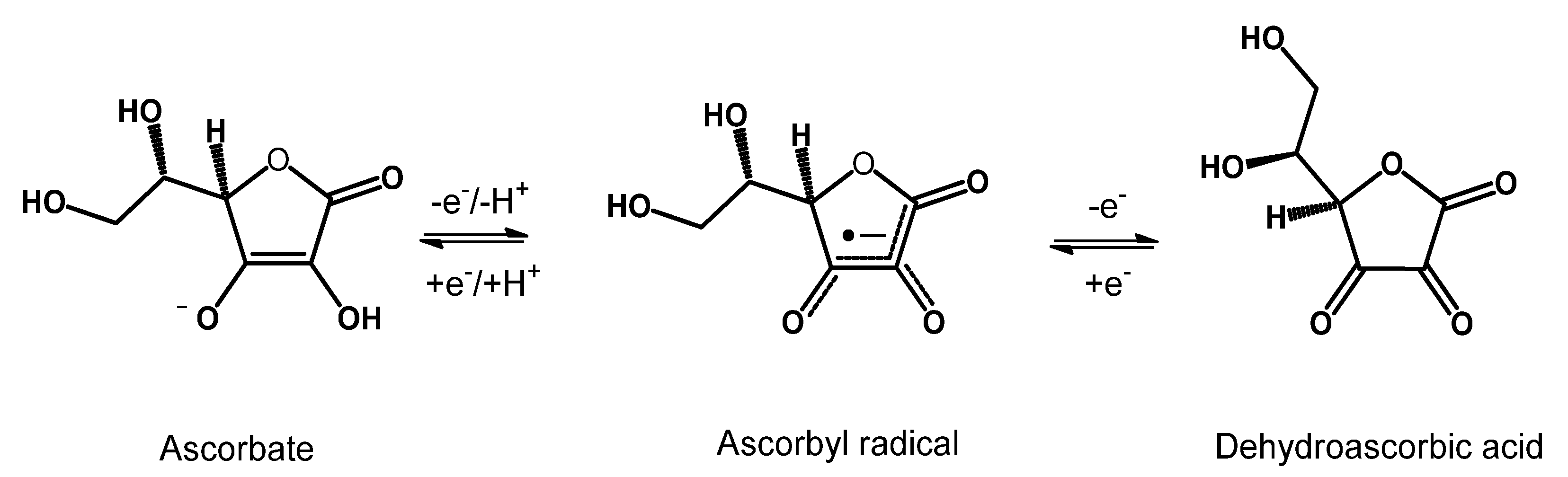 Nutrients 15 02283 g002 Nutrients 15 02283 g002