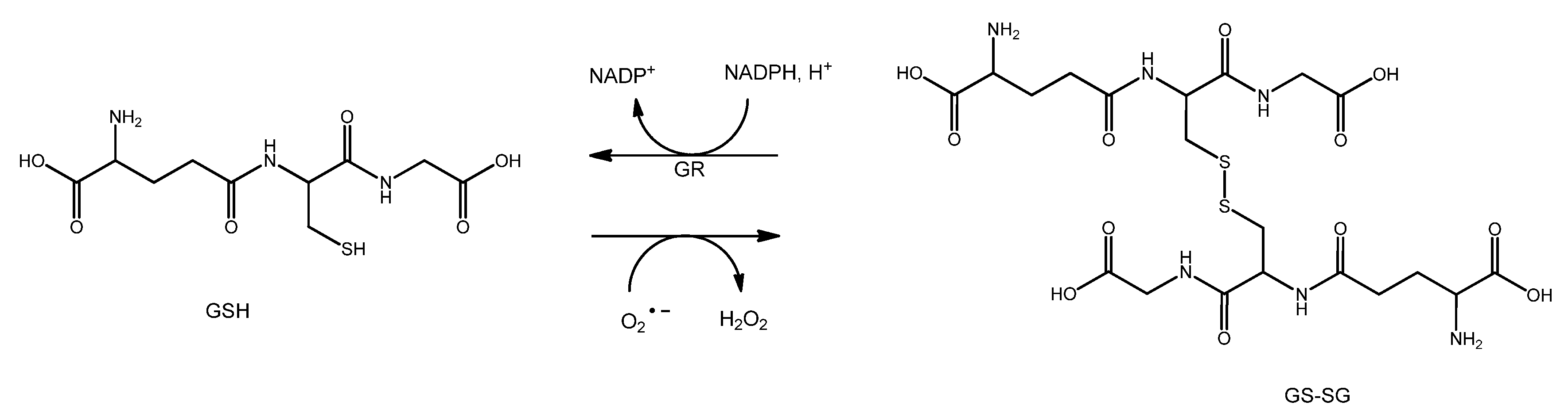 Nutrients 15 02283 g003 Nutrients 15 02283 g003