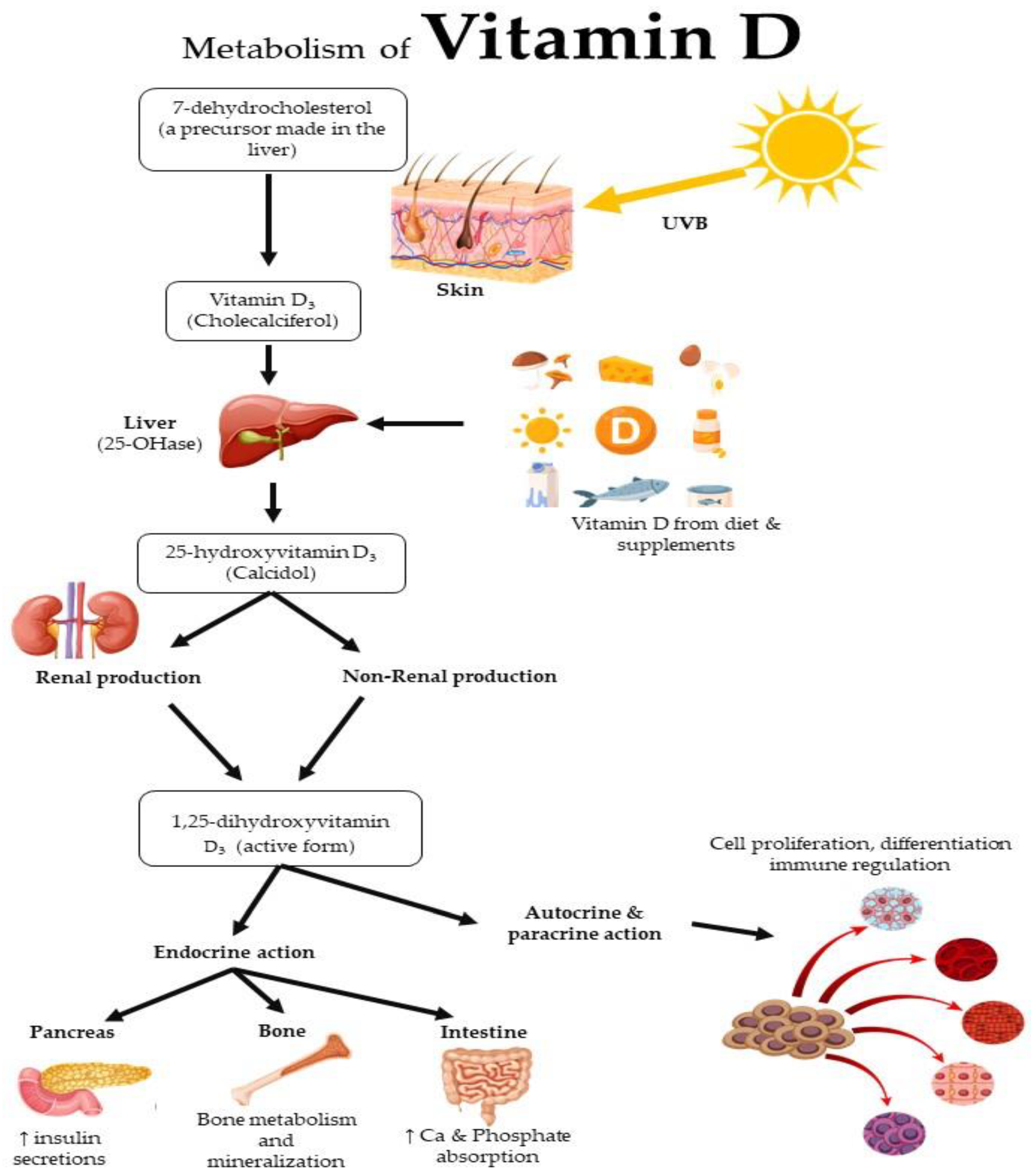 Nutrients 15 02310 g001