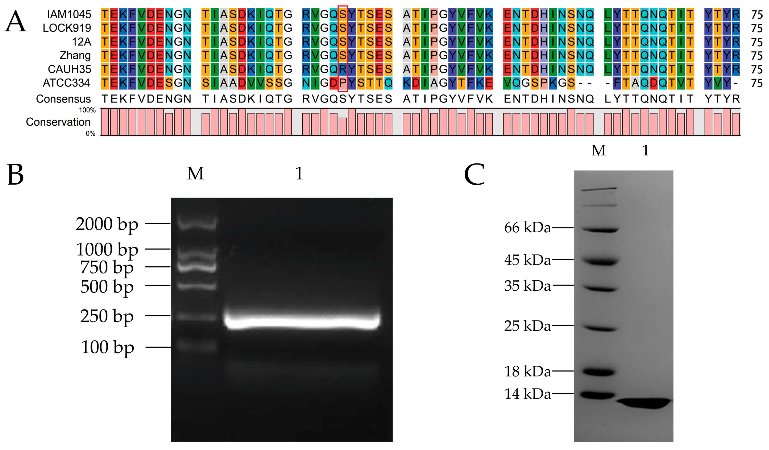 Nutrients 15 02314 g001
