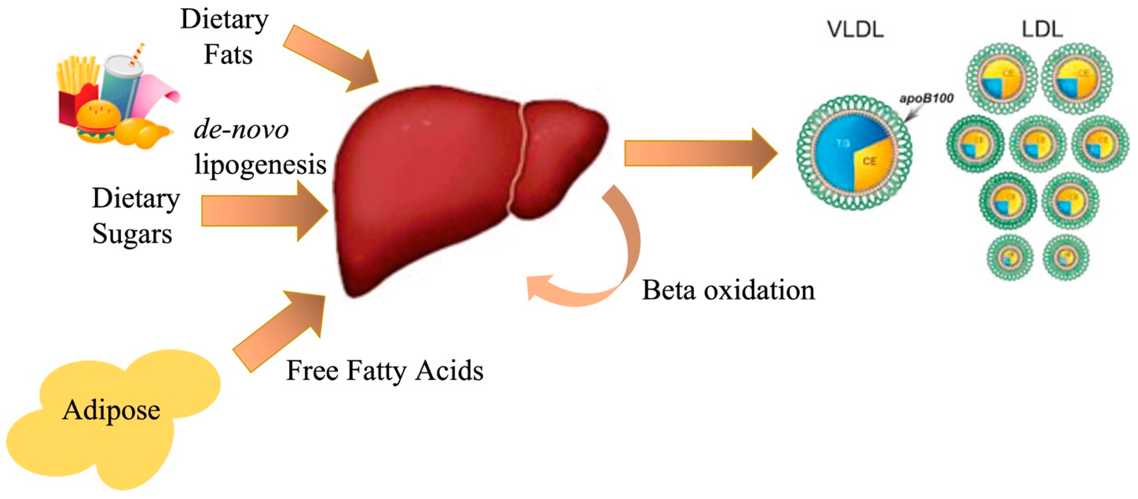 Nutrients 15 02323 g001