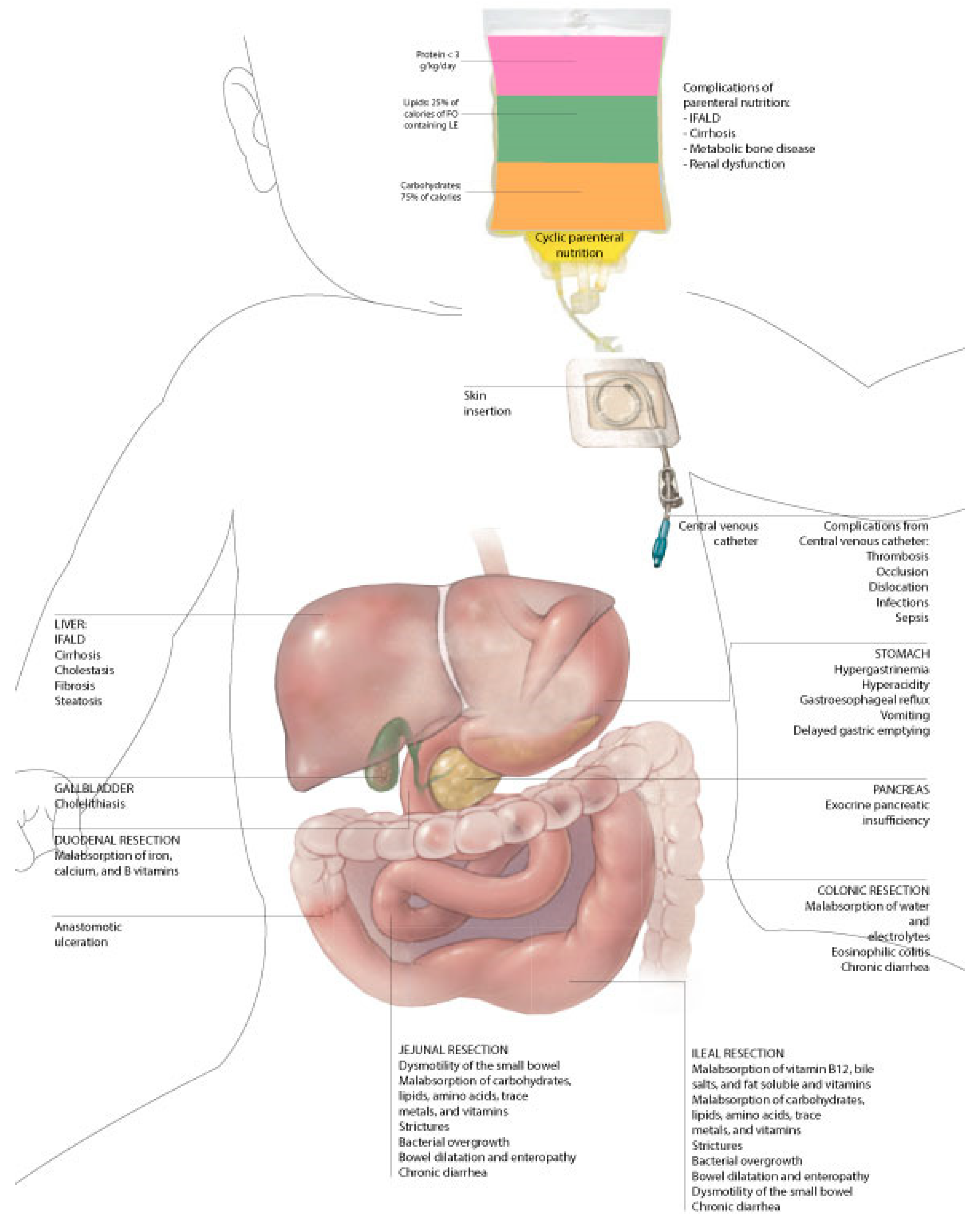 Nutrients 15 02341 g001 Nutrients 15 02341 g001