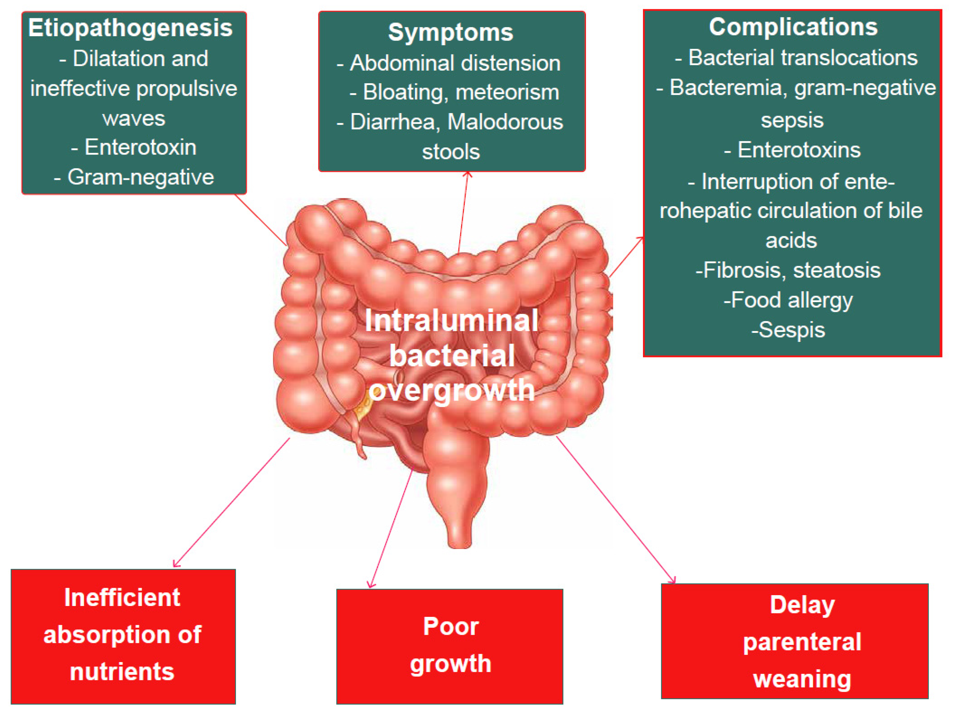 Nutrients 15 02341 g002 Nutrients 15 02341 g002