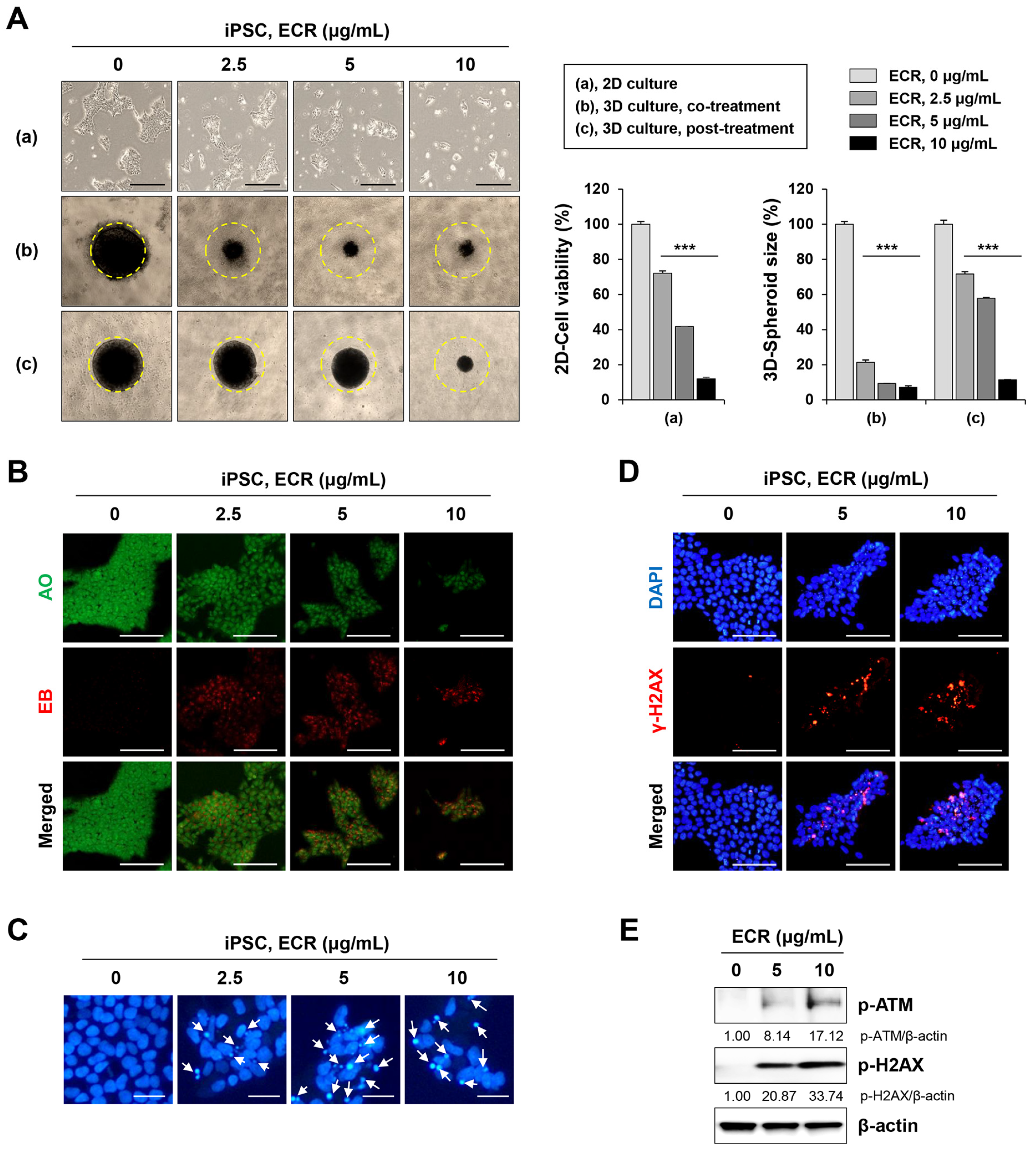 Nutrients 15 02364 g002