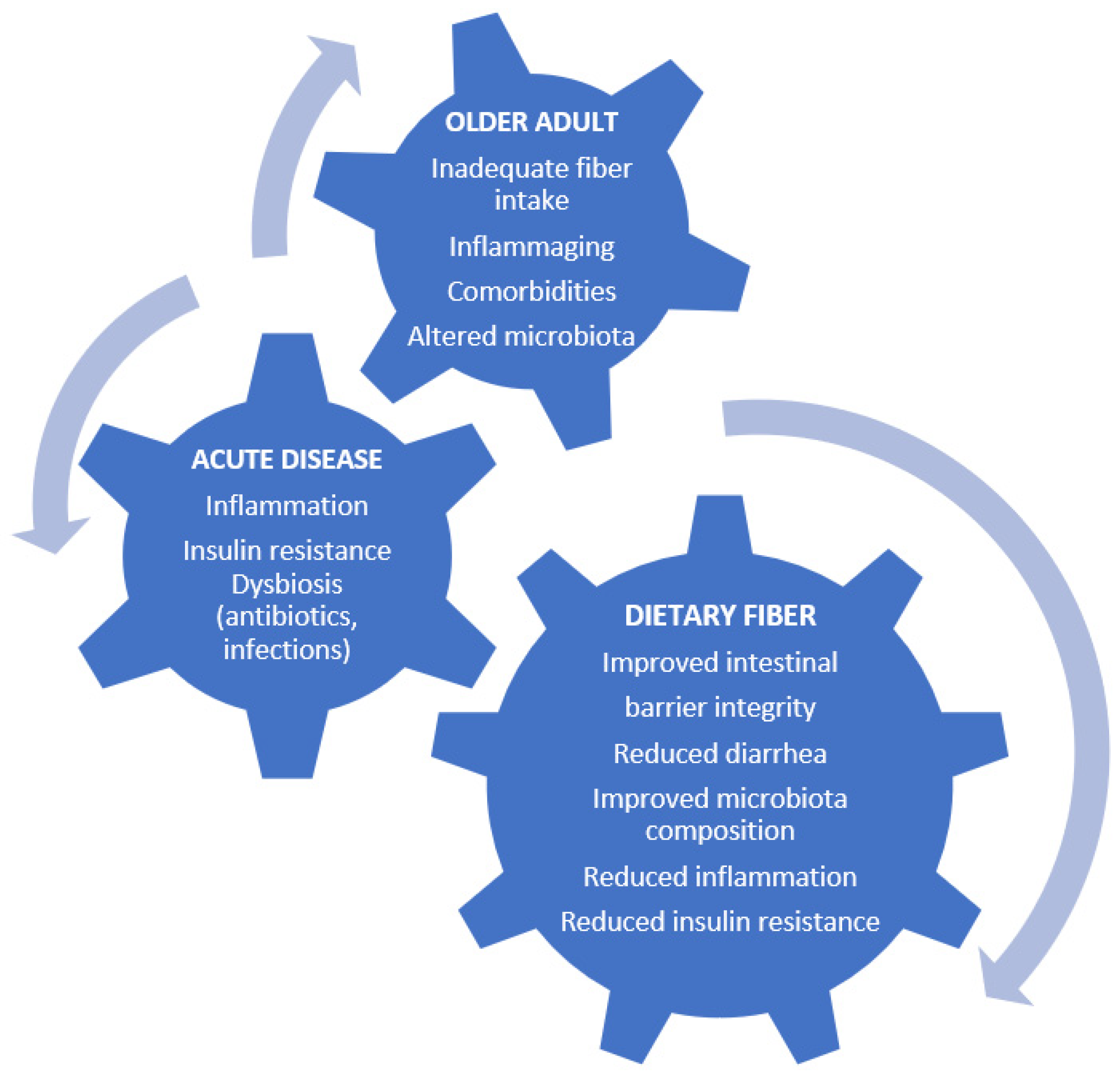 Nutrients 15 02365 g002 Nutrients 15 02365 g002