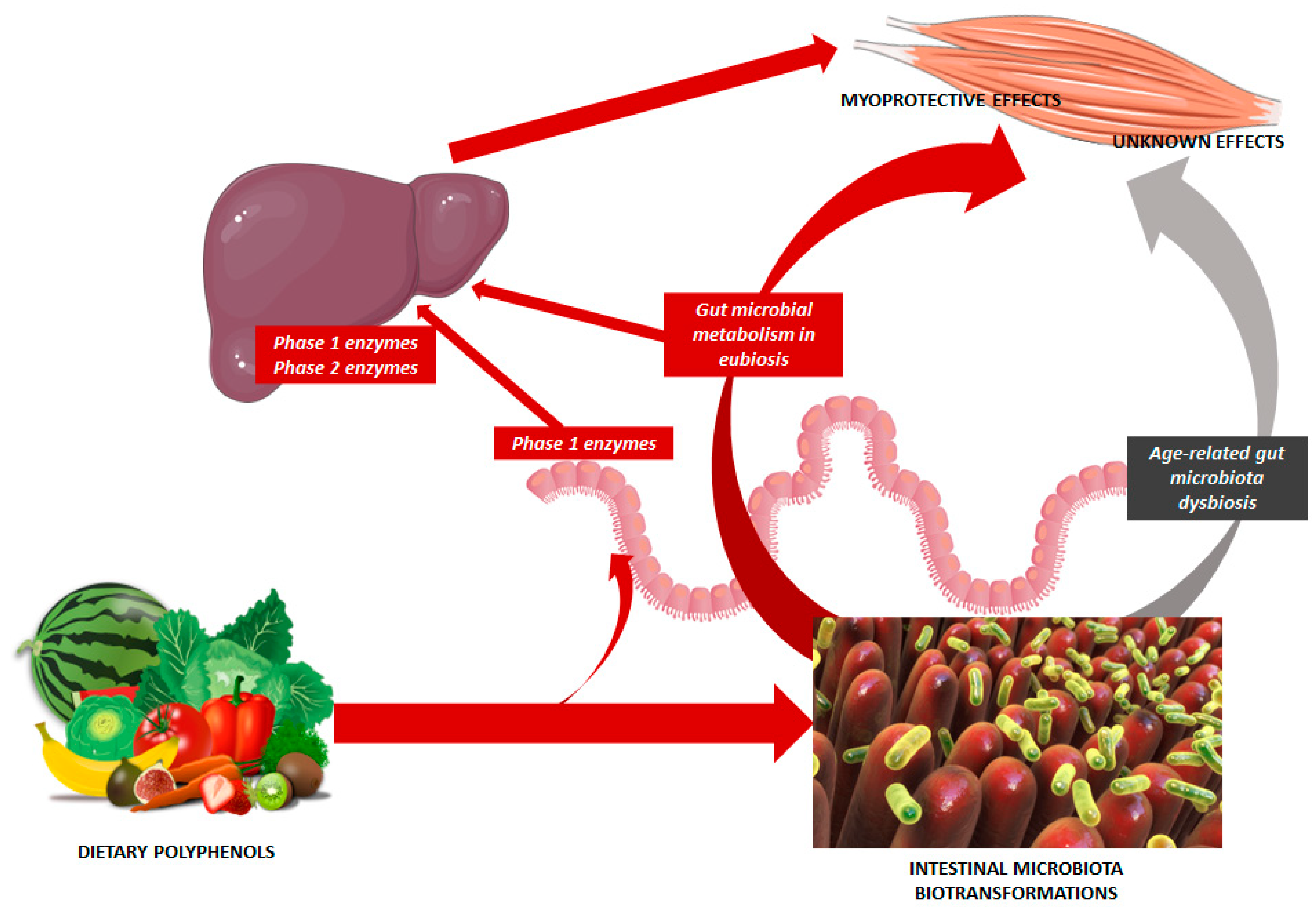 Nutrients 15 02367 g001