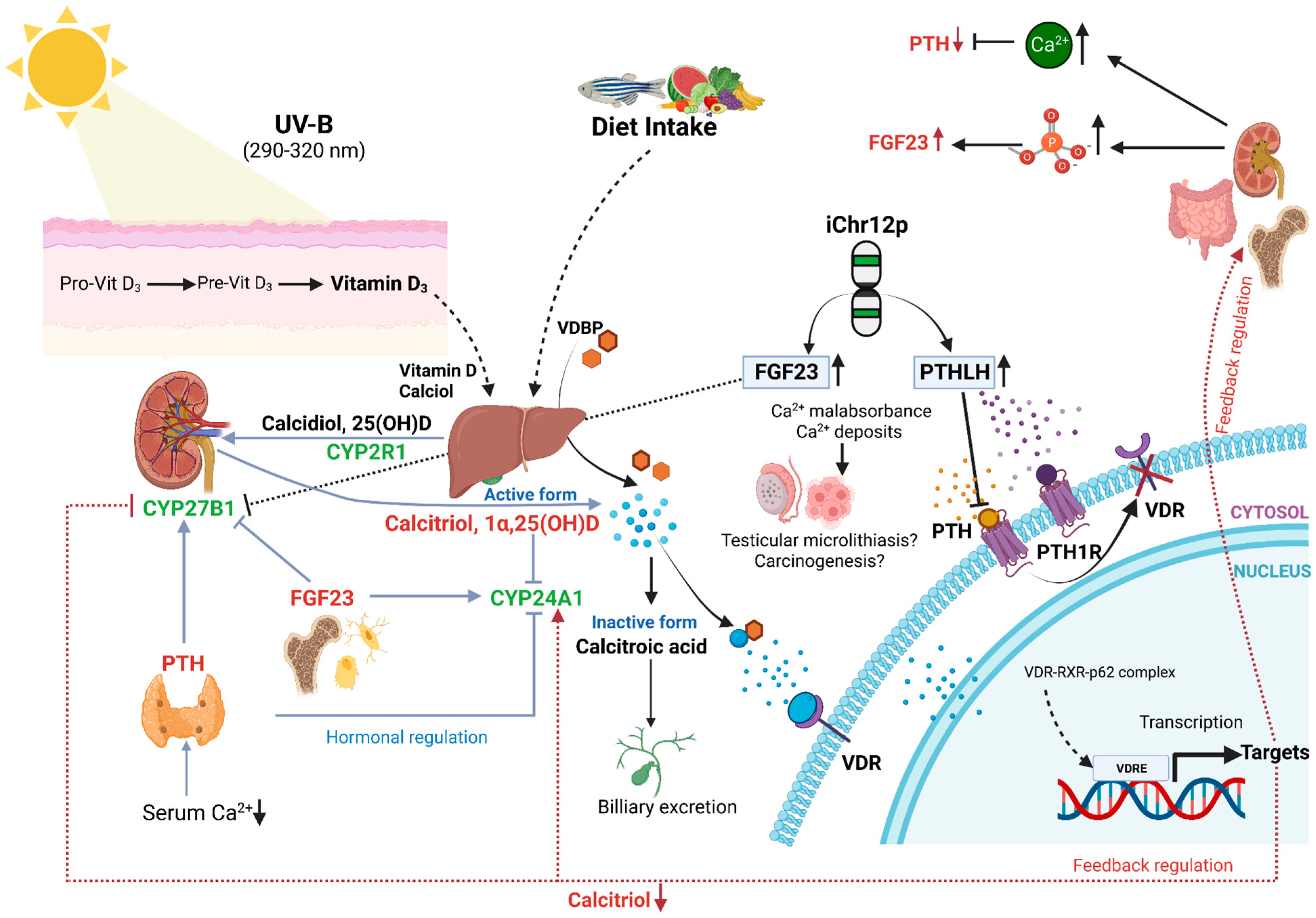 Nutrients 15 02384 g002