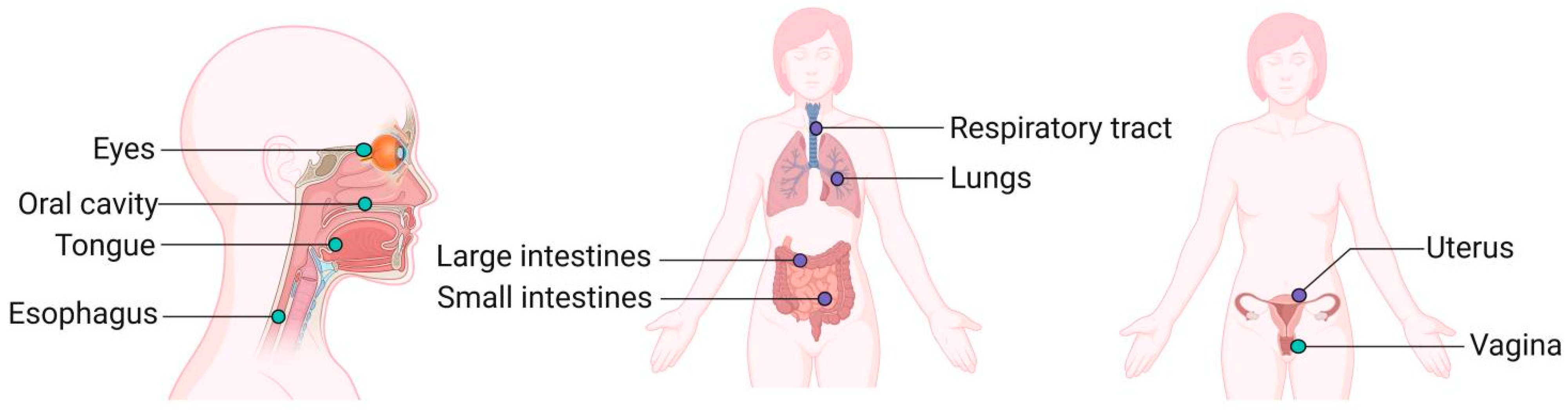 Nutrients 15 02398 g001