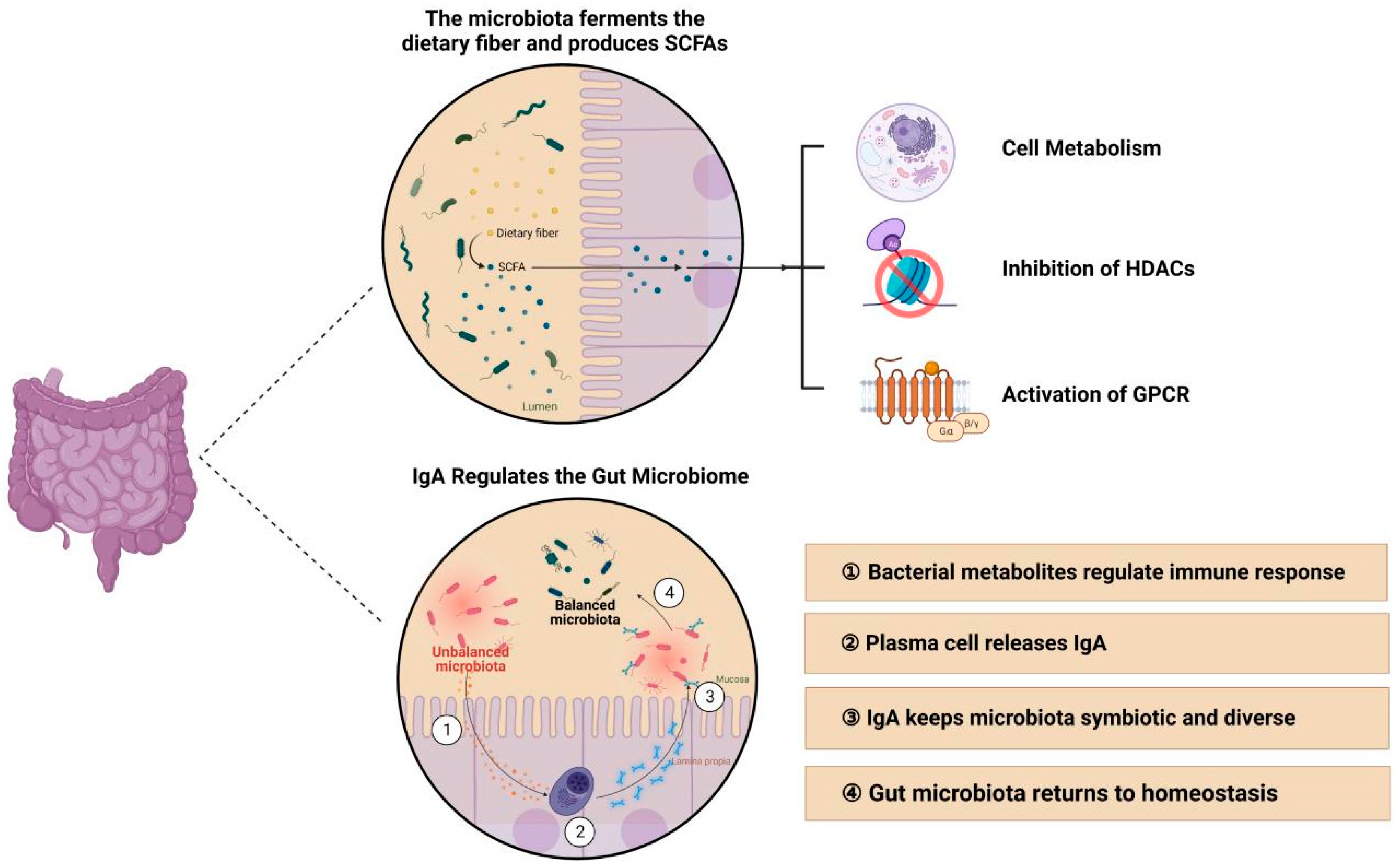Nutrients 15 02398 g008