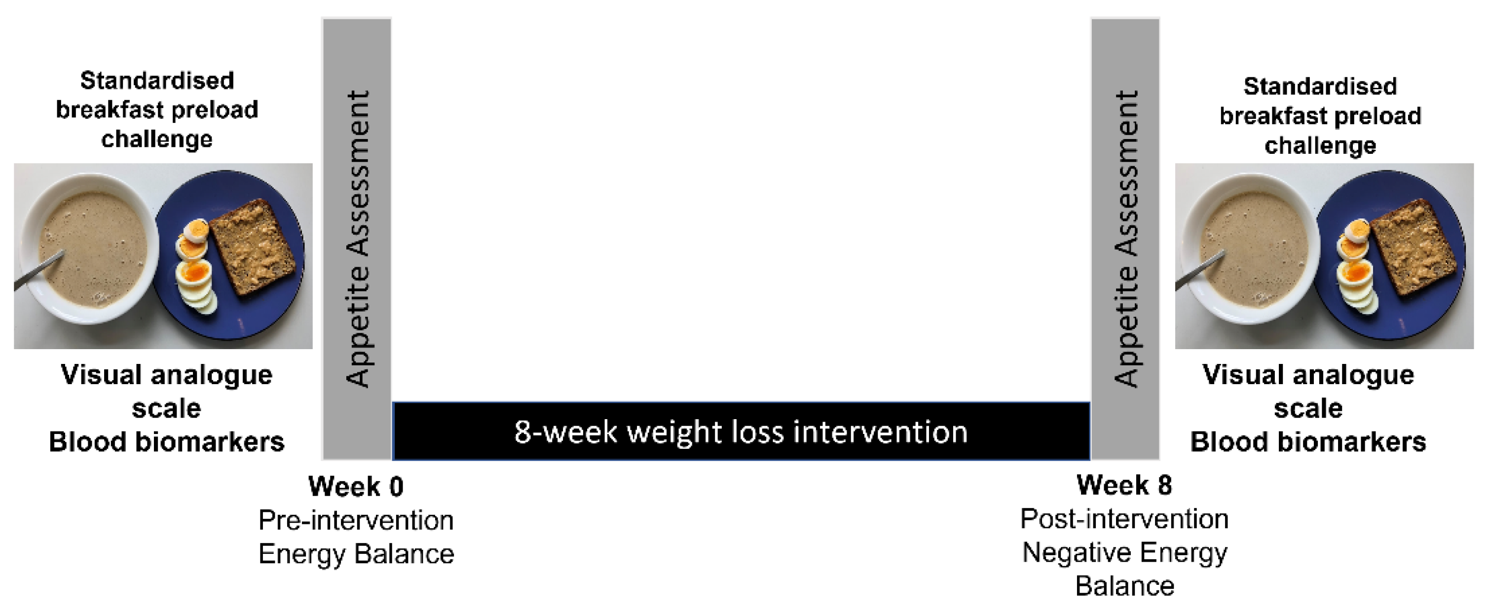 Nutrients 15 02399 g001 Nutrients 15 02399 g001