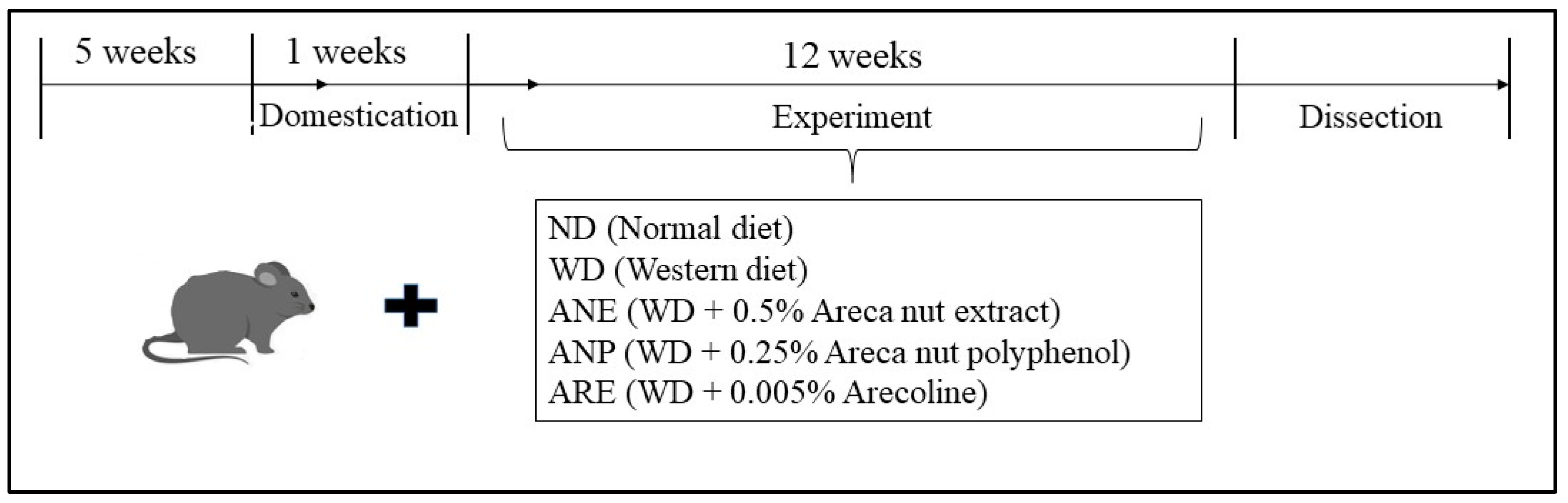 Nutrients 15 02403 g001