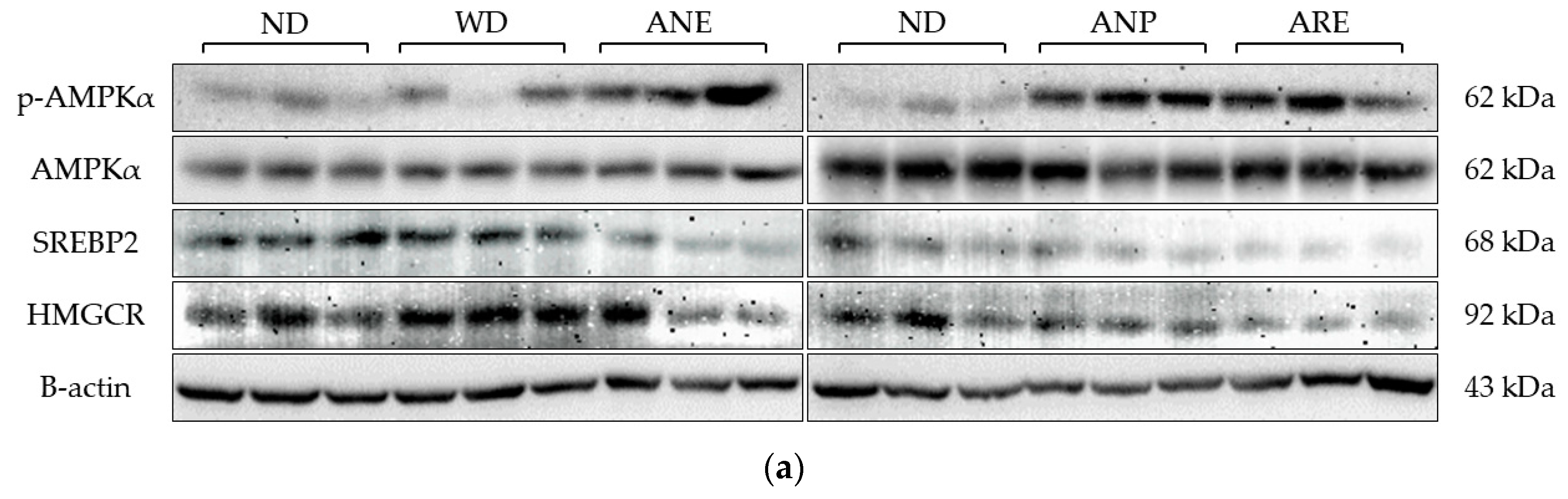 Nutrients 15 02403 g005a