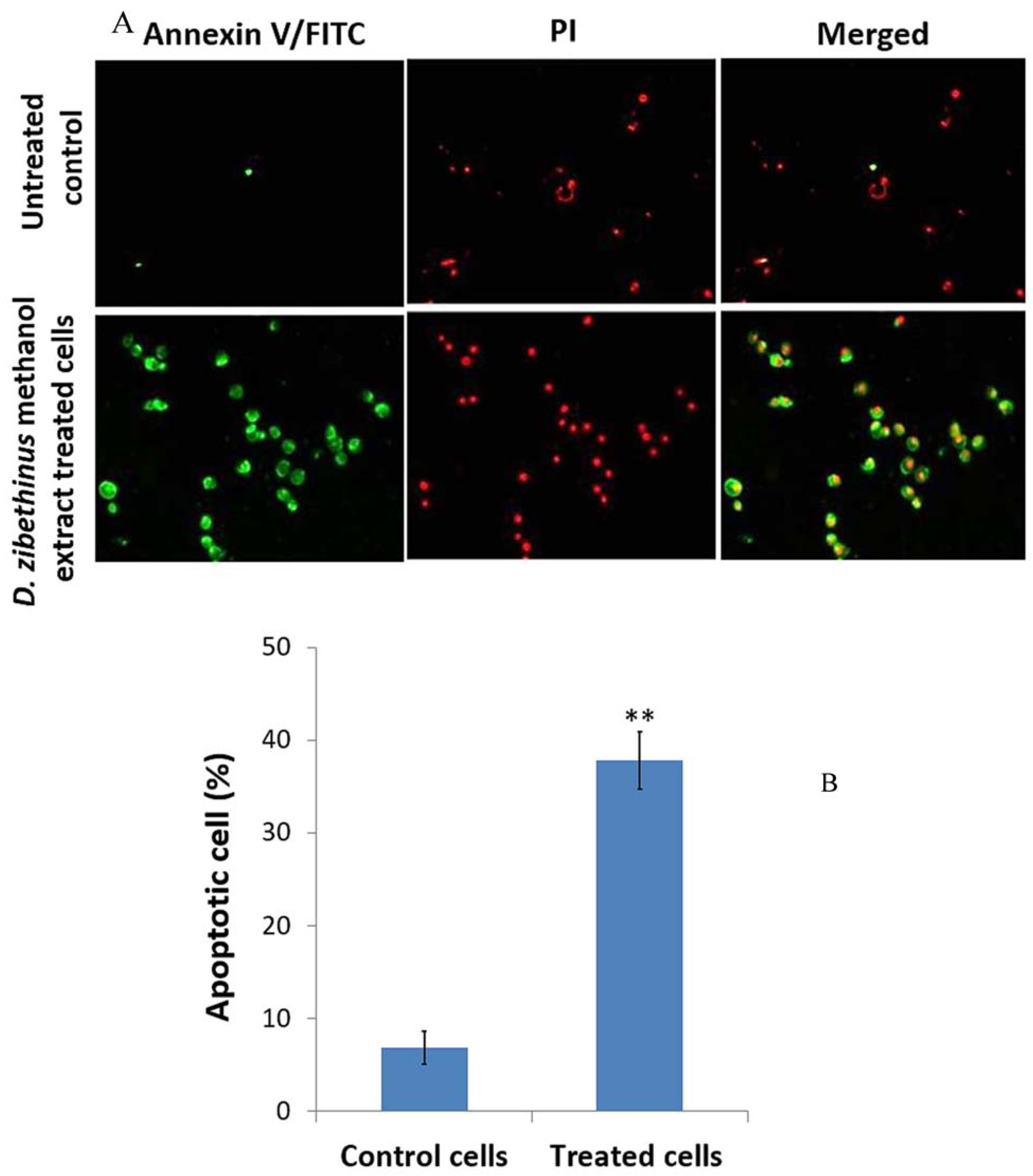 Nutrients 15 02417 g002 Nutrients 15 02417 g002