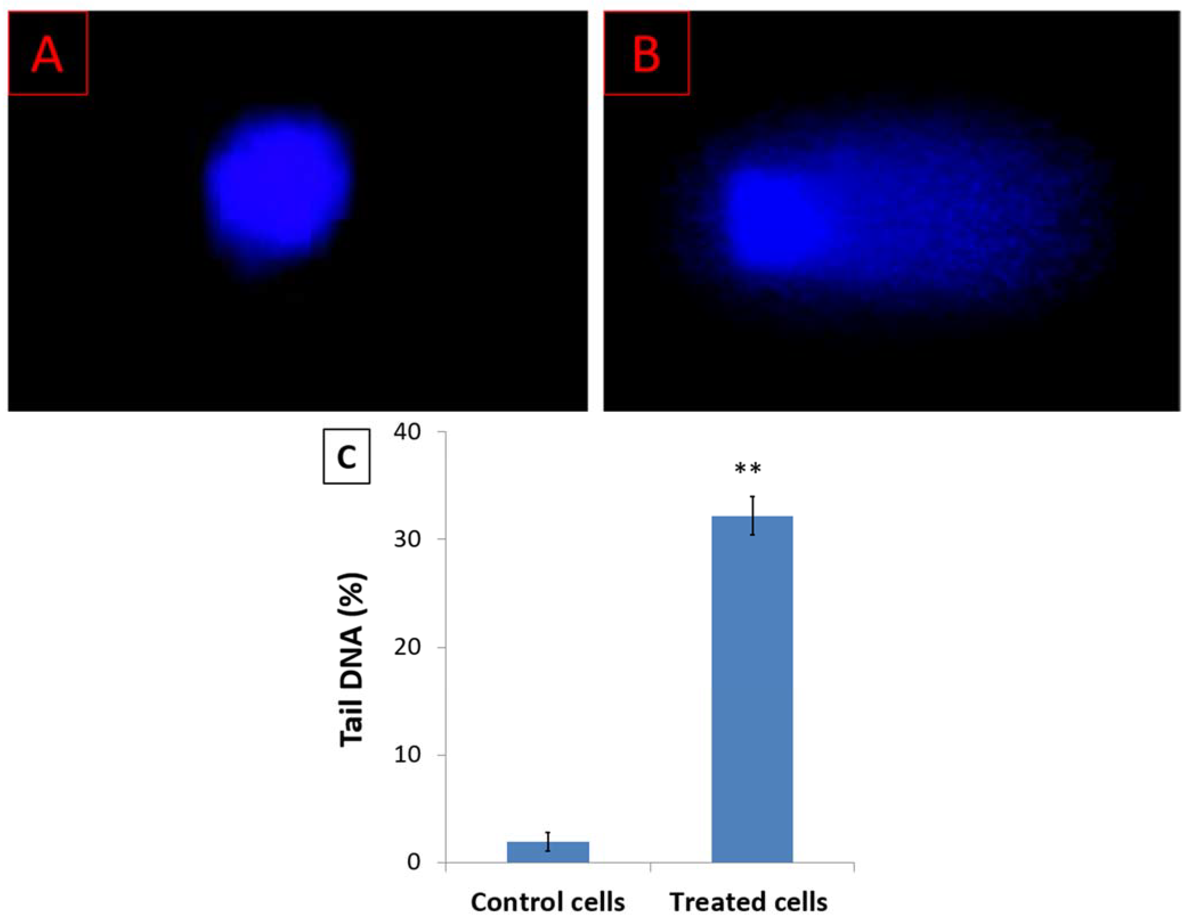 Nutrients 15 02417 g003 Nutrients 15 02417 g003
