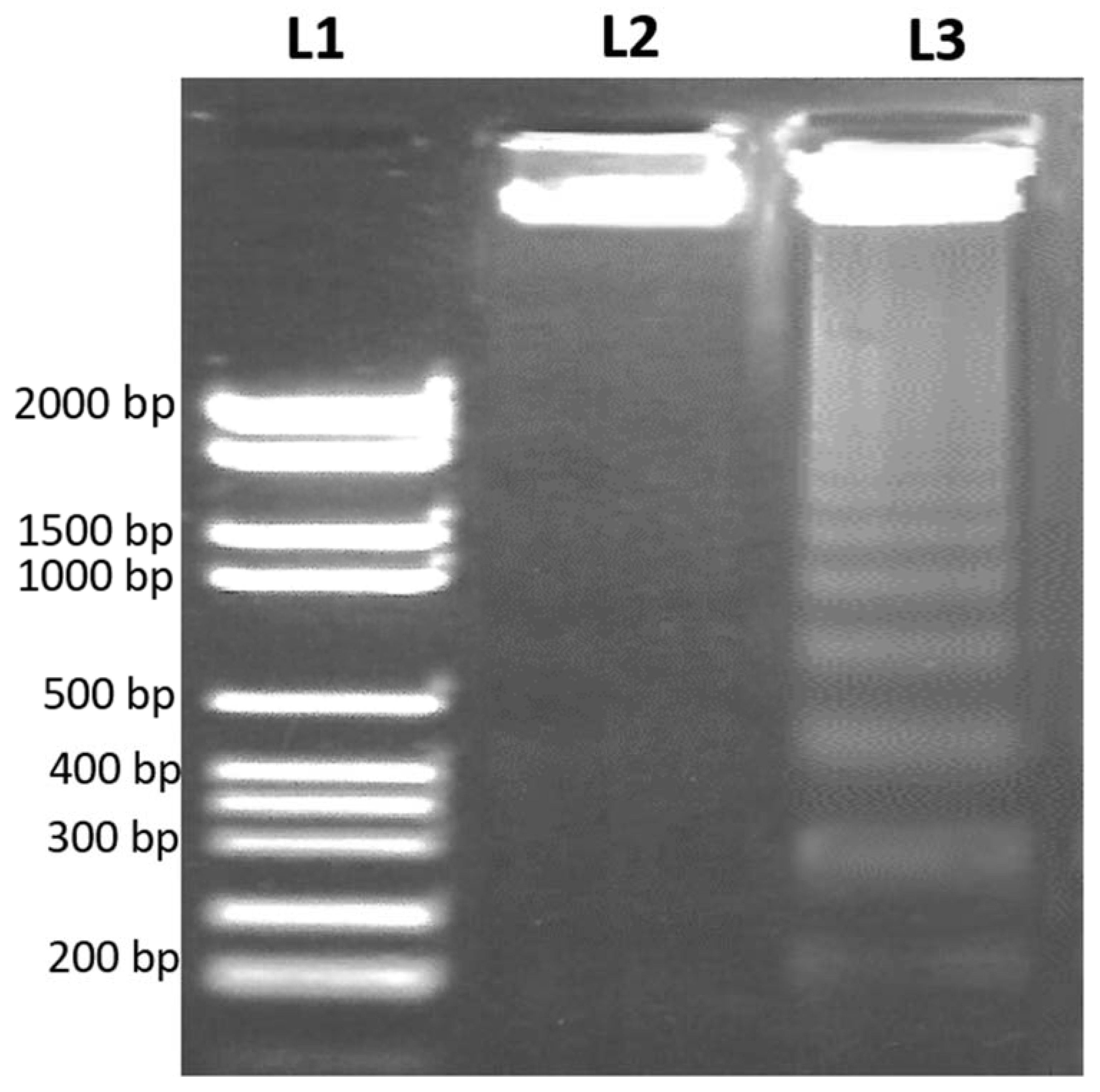 Nutrients 15 02417 g004 Nutrients 15 02417 g004