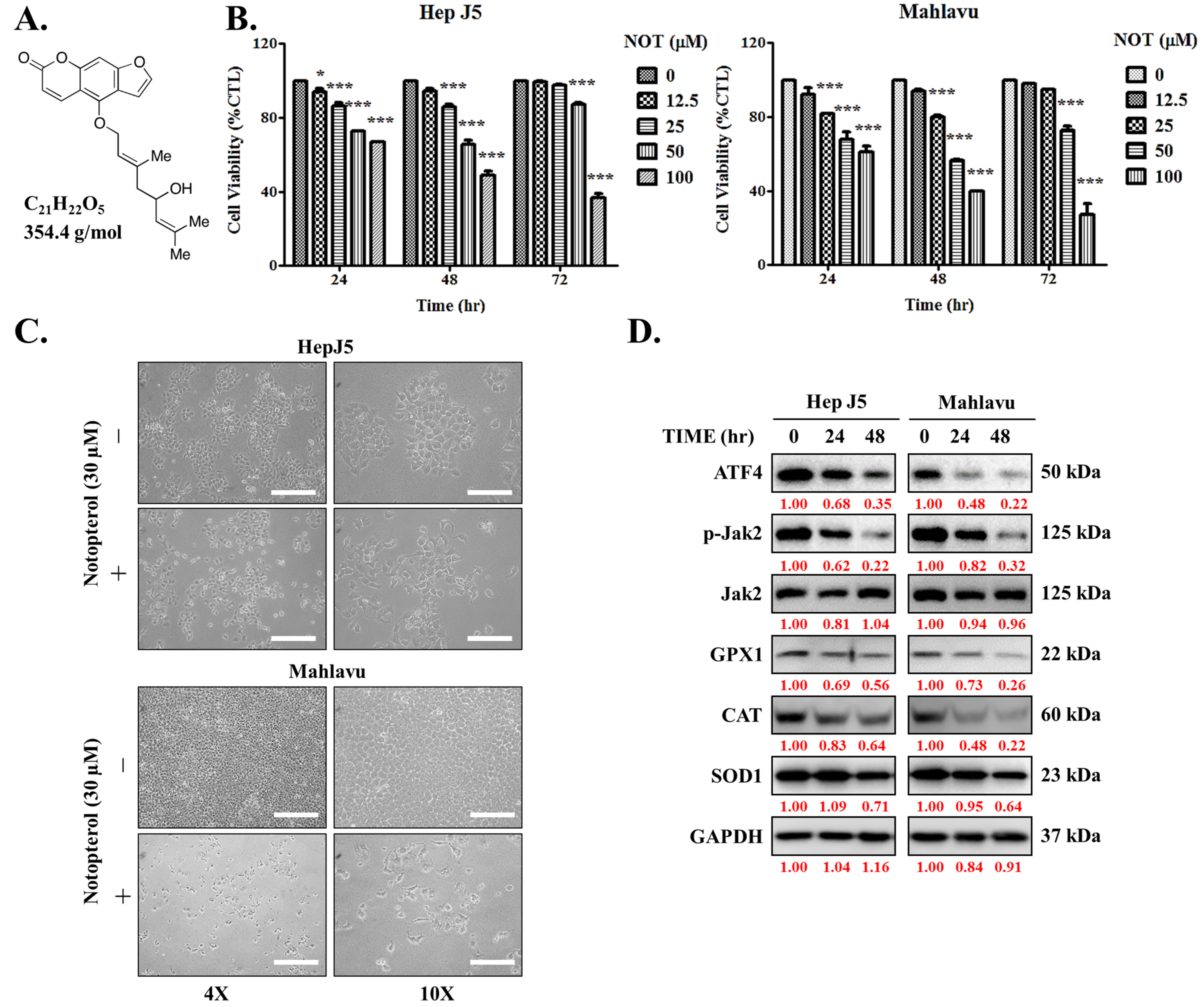Nutrients 15 02447 g001