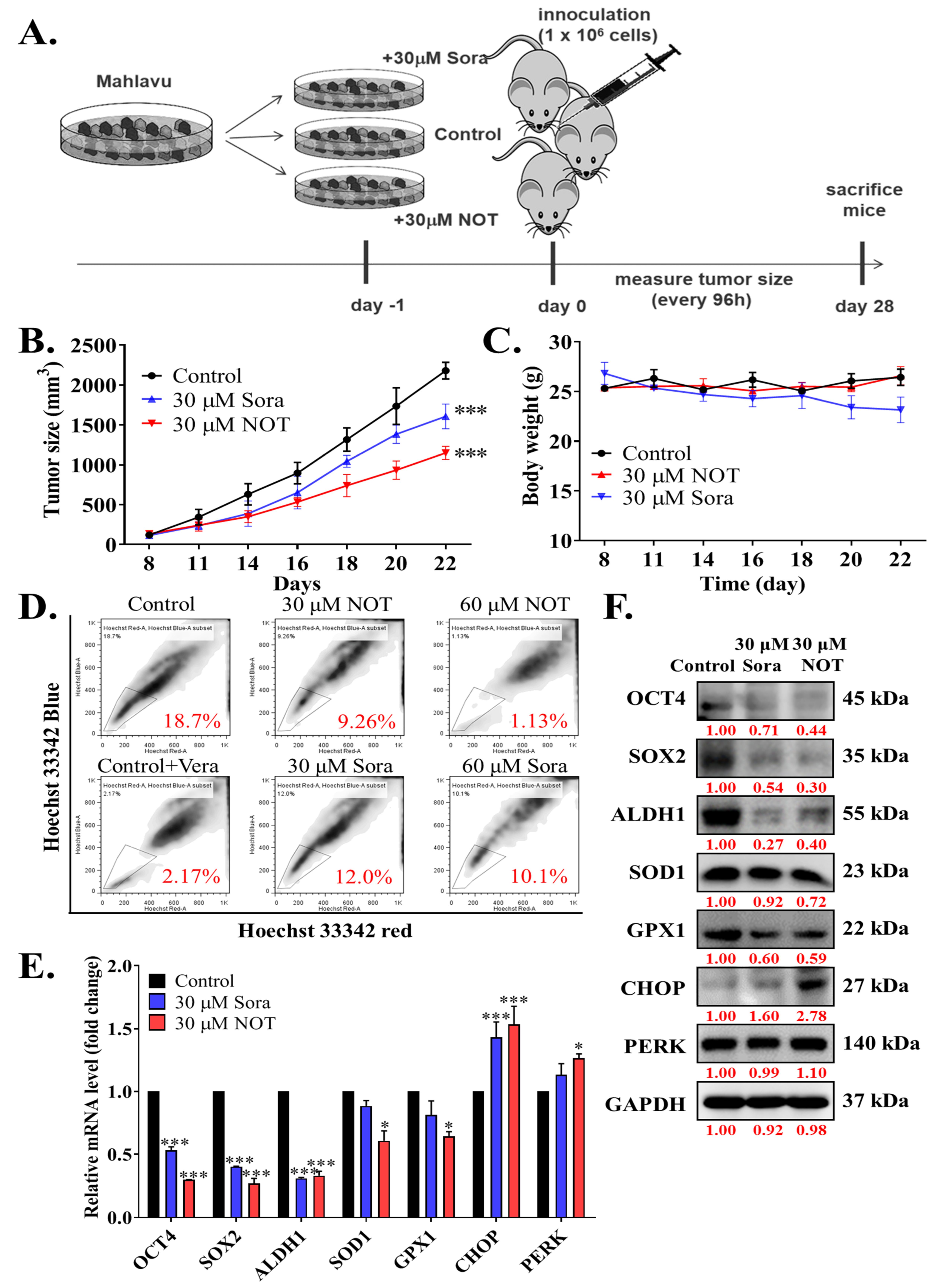 Nutrients 15 02447 g005