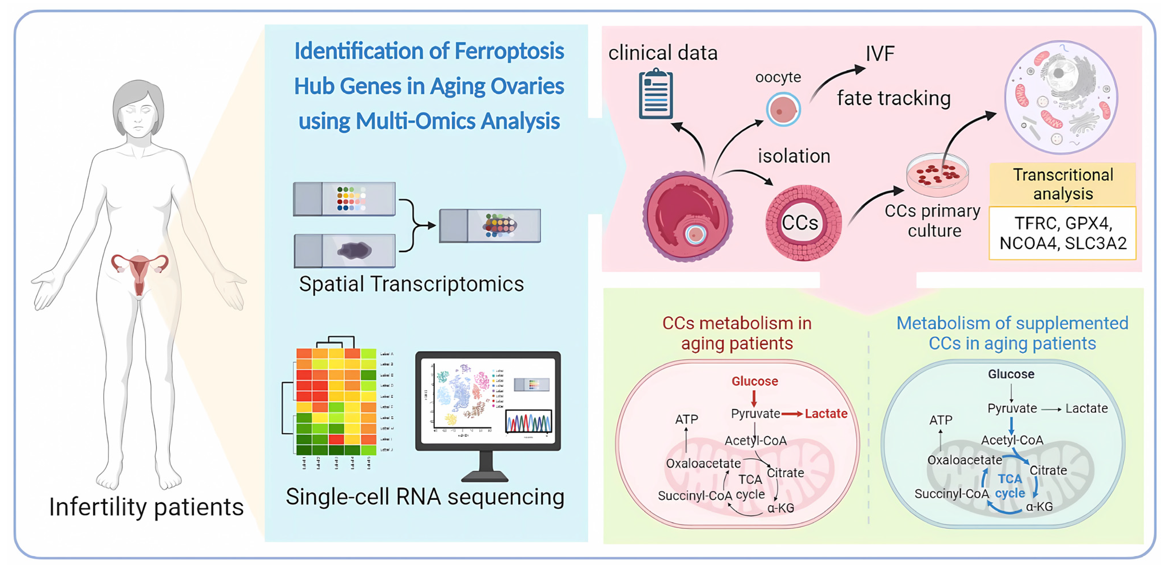 Nutrients 15 02461 g001